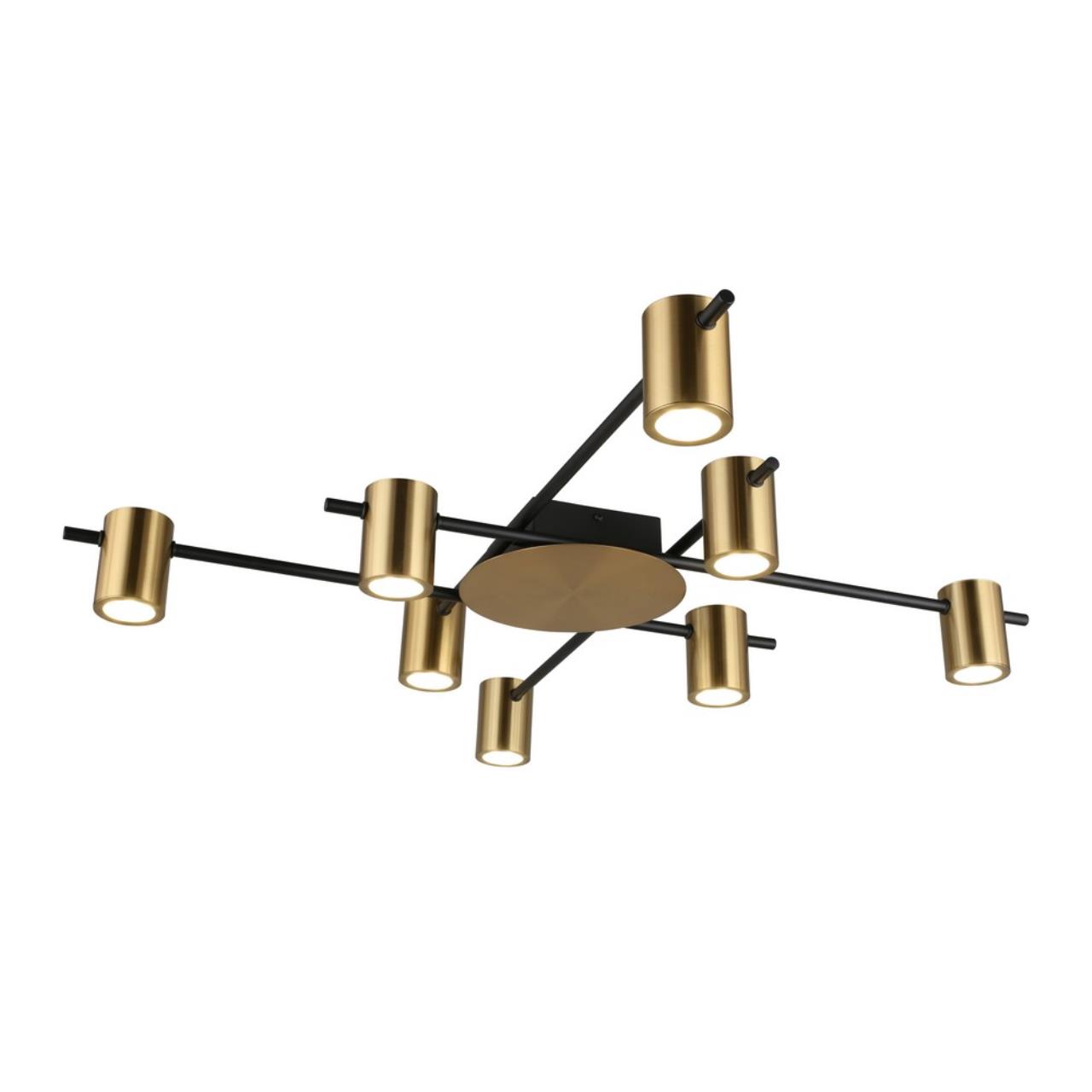 Картинка Потолочная люстра Aployt Elwisia APL.633.07.08
