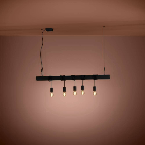 Картинка Подвесной светильник Eglo TOWNSHEND-B 39937