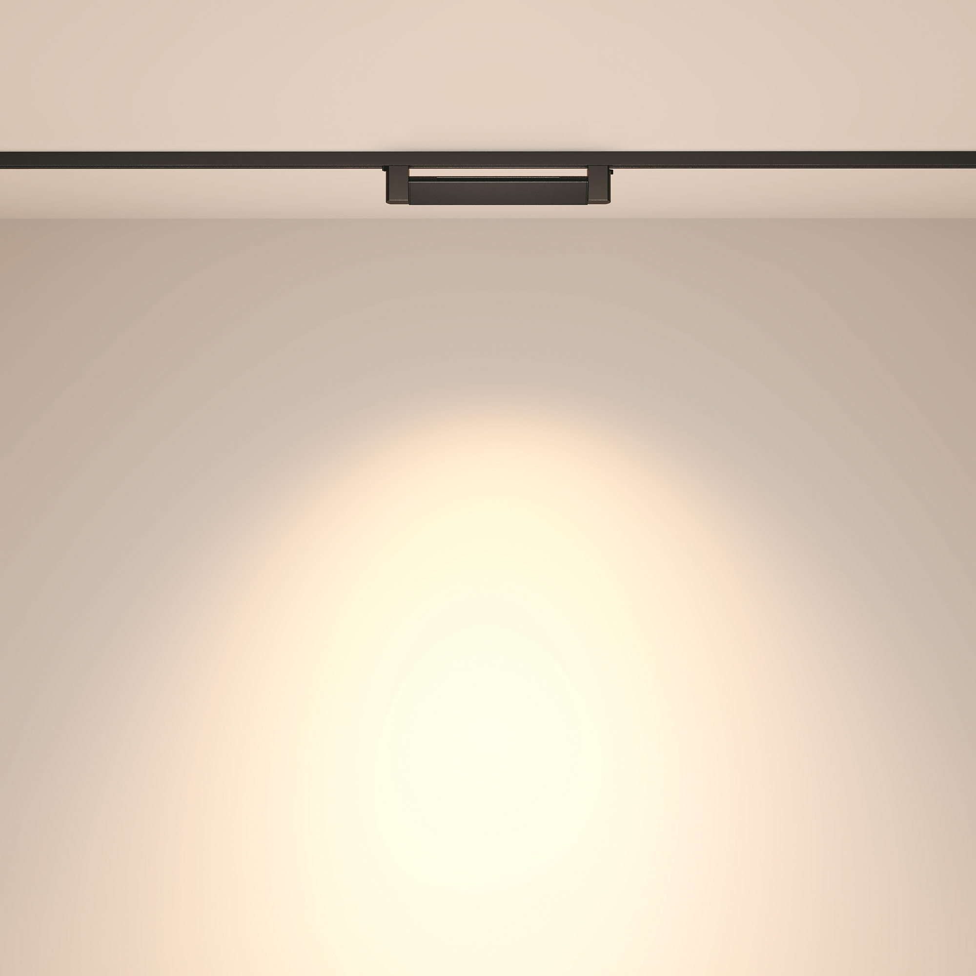 Картинка Трековый светильник Technical TR010-1-10W4K-M-B