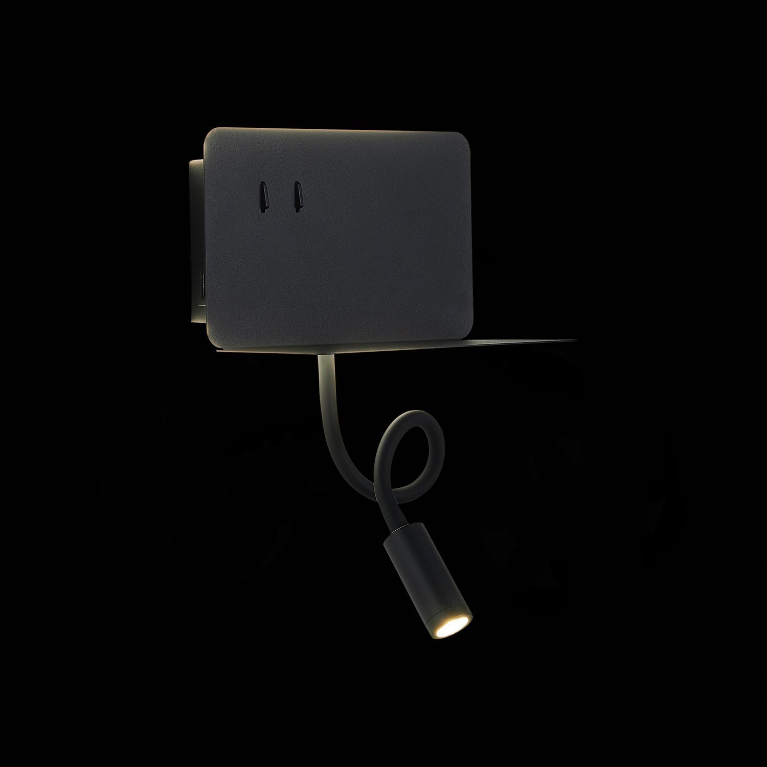 Картинка Настенный светодиодный светильник ST Luce Pinaggio SL1576.401.02