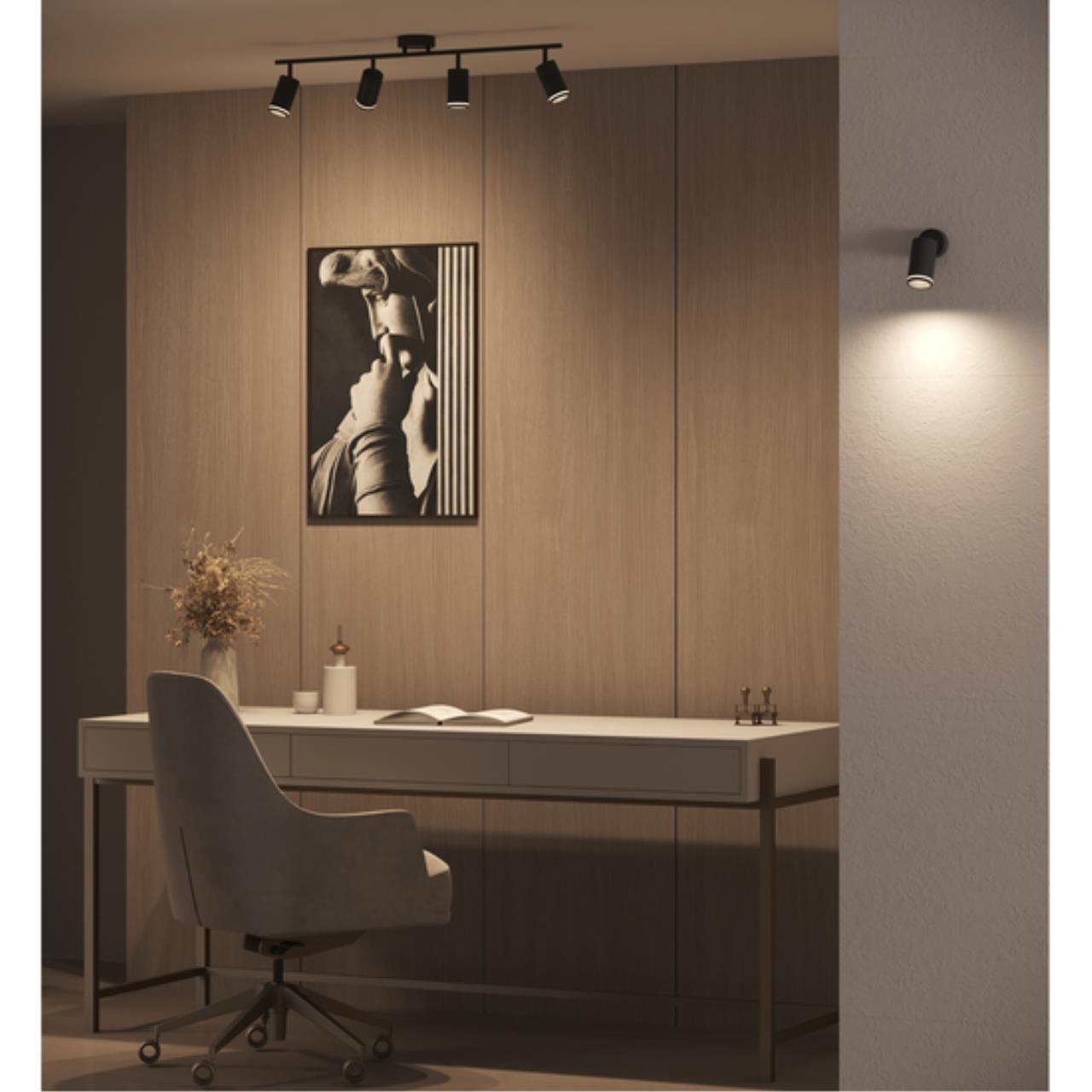 Картинка Настенно-потолочный светильник Arte Lamp IMAI A2365AP-1BK