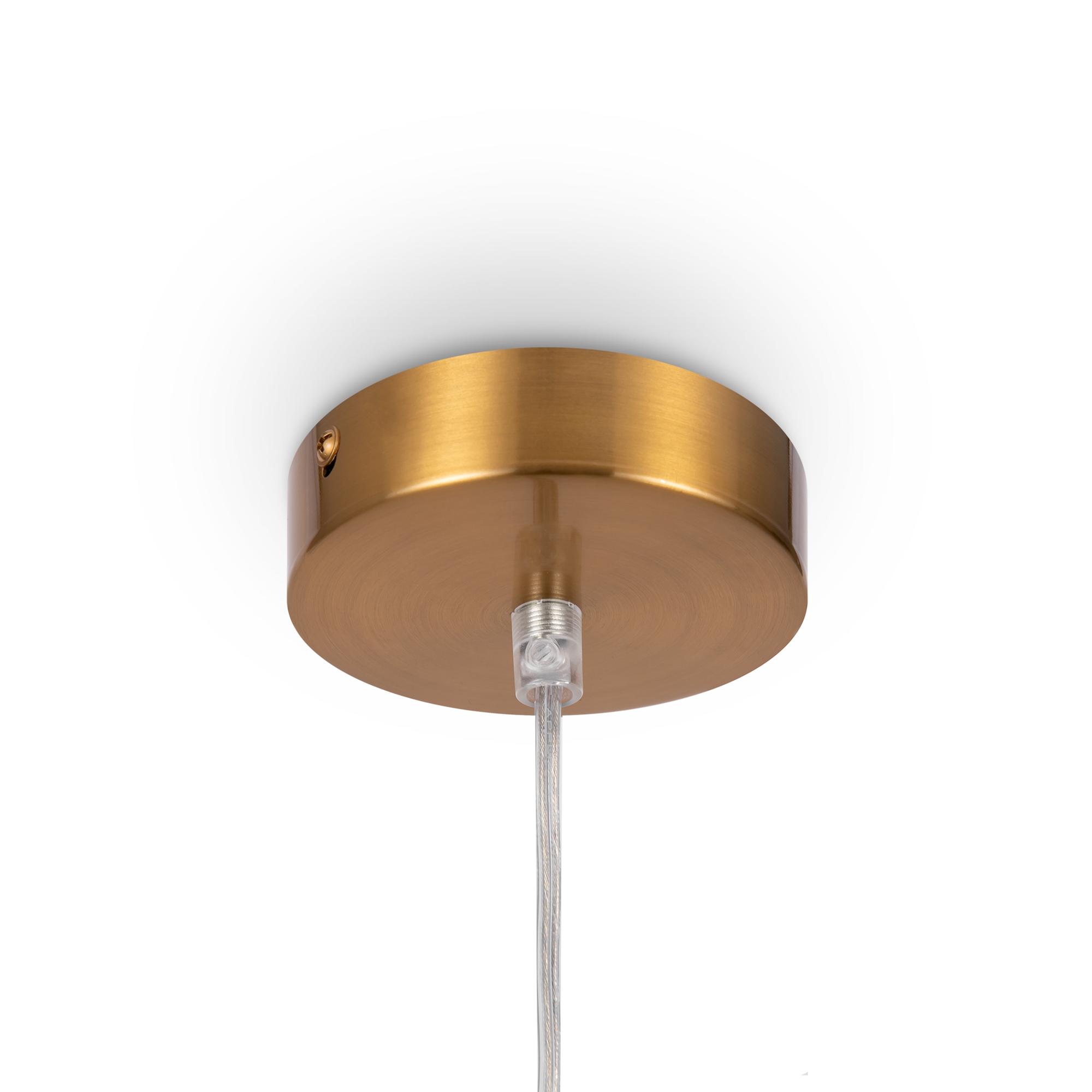 Картинка Подвесной светильник Freya FR5220PL-01G6