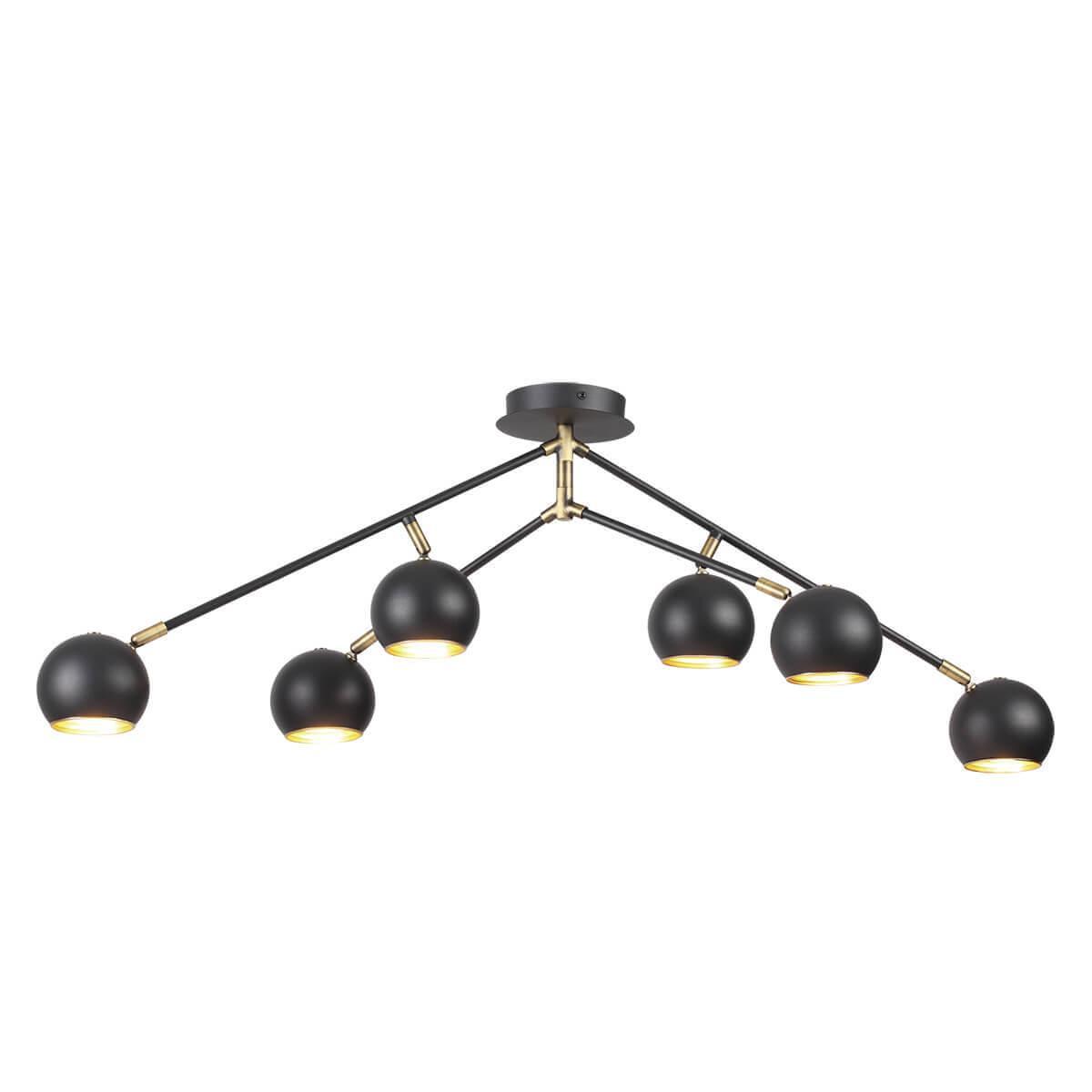 Картинка Потолочная люстра Lumion Neruni 3635/6C