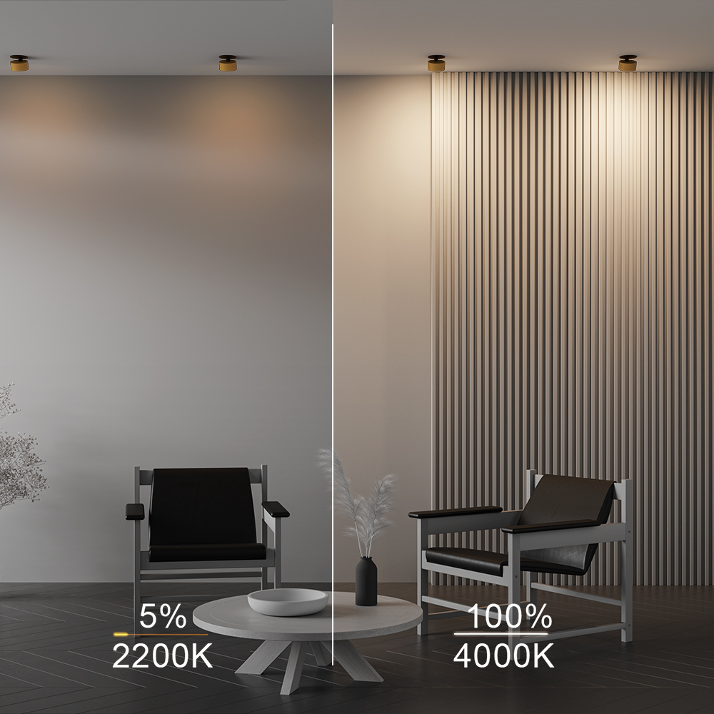 Картинка Встраиваемый светильник Technical DL024-12W-DTW-BMG