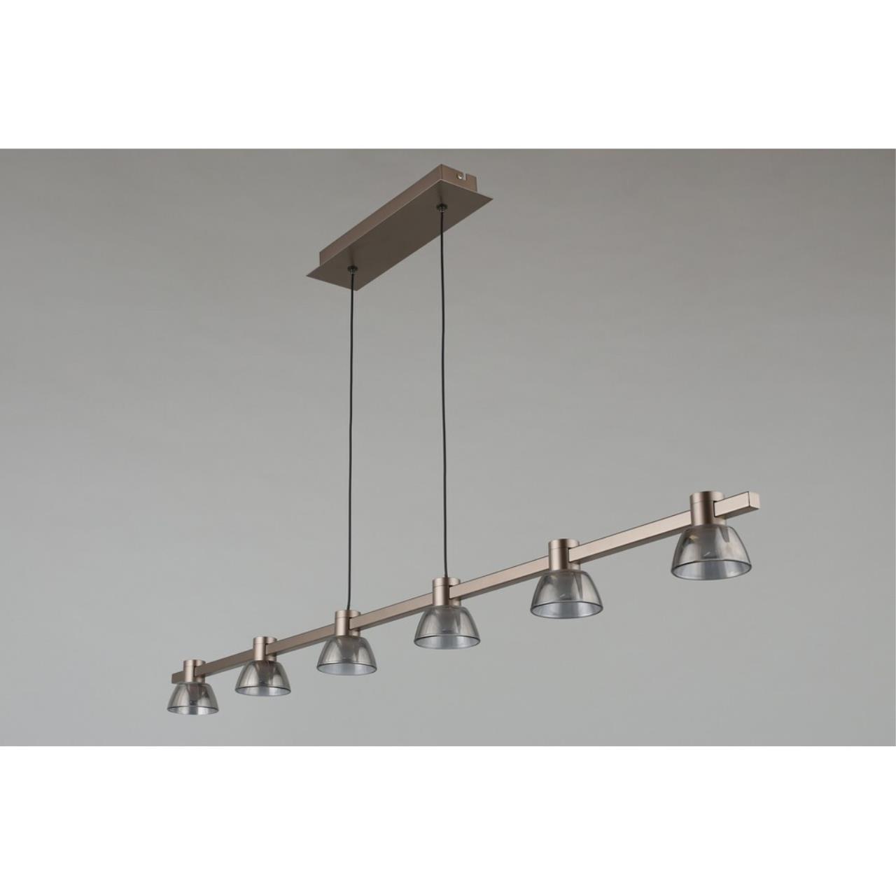 Картинка APL.788.03.06 Светильник подвесной Aployt Rezeda