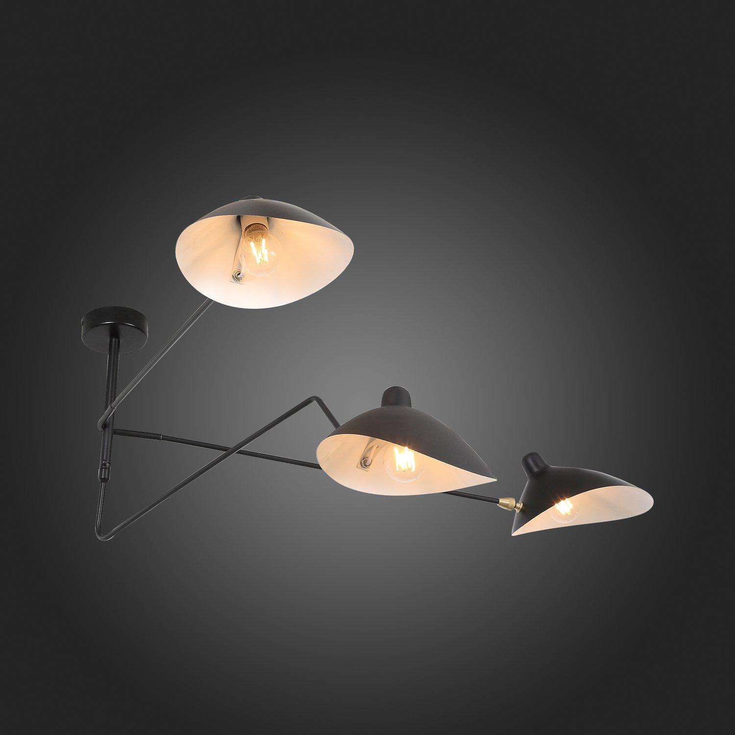 Картинка Потолочная люстра ST Luce Spruzzo SL305.402.03