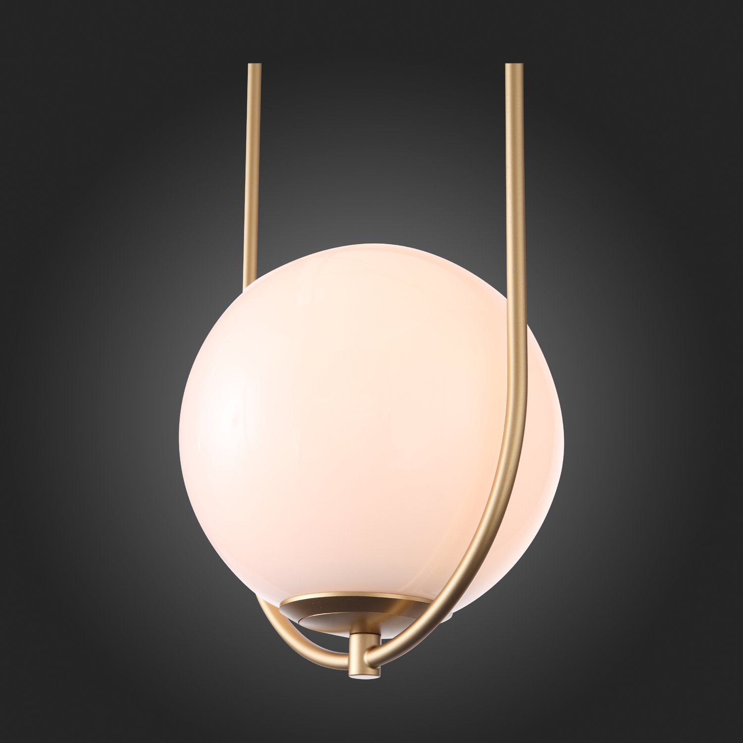 Картинка Подвесной светильник ST Luce Penolo SL1118.203.01