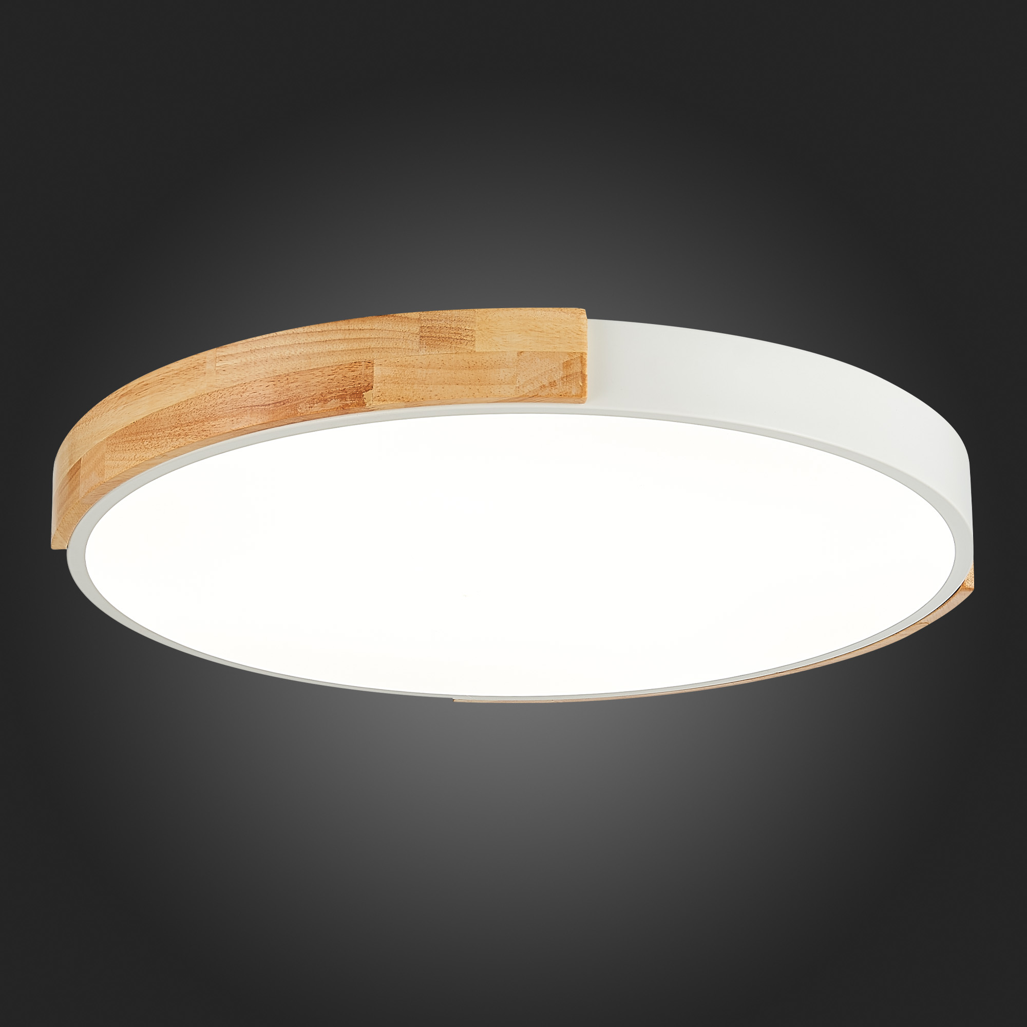 Картинка Потолочный сетодиодный светильник Evoluce Delia SLE201352-01