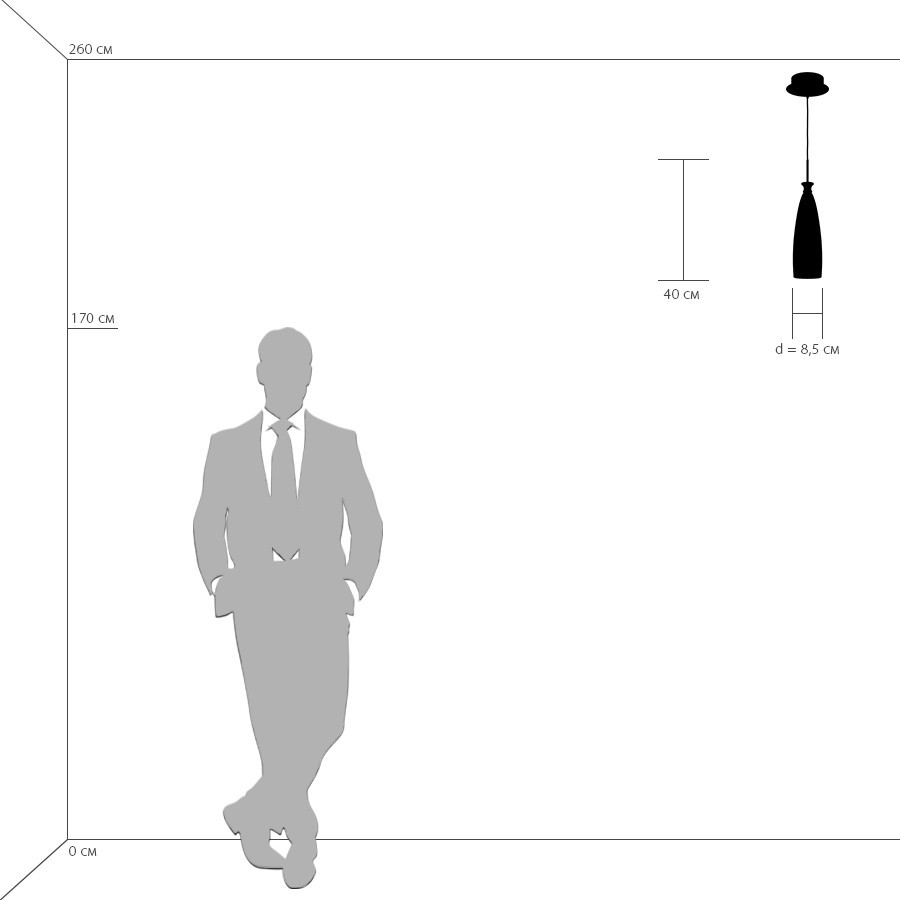 Картинка Подвесной светильник Lightstar Simple Light 810 810013