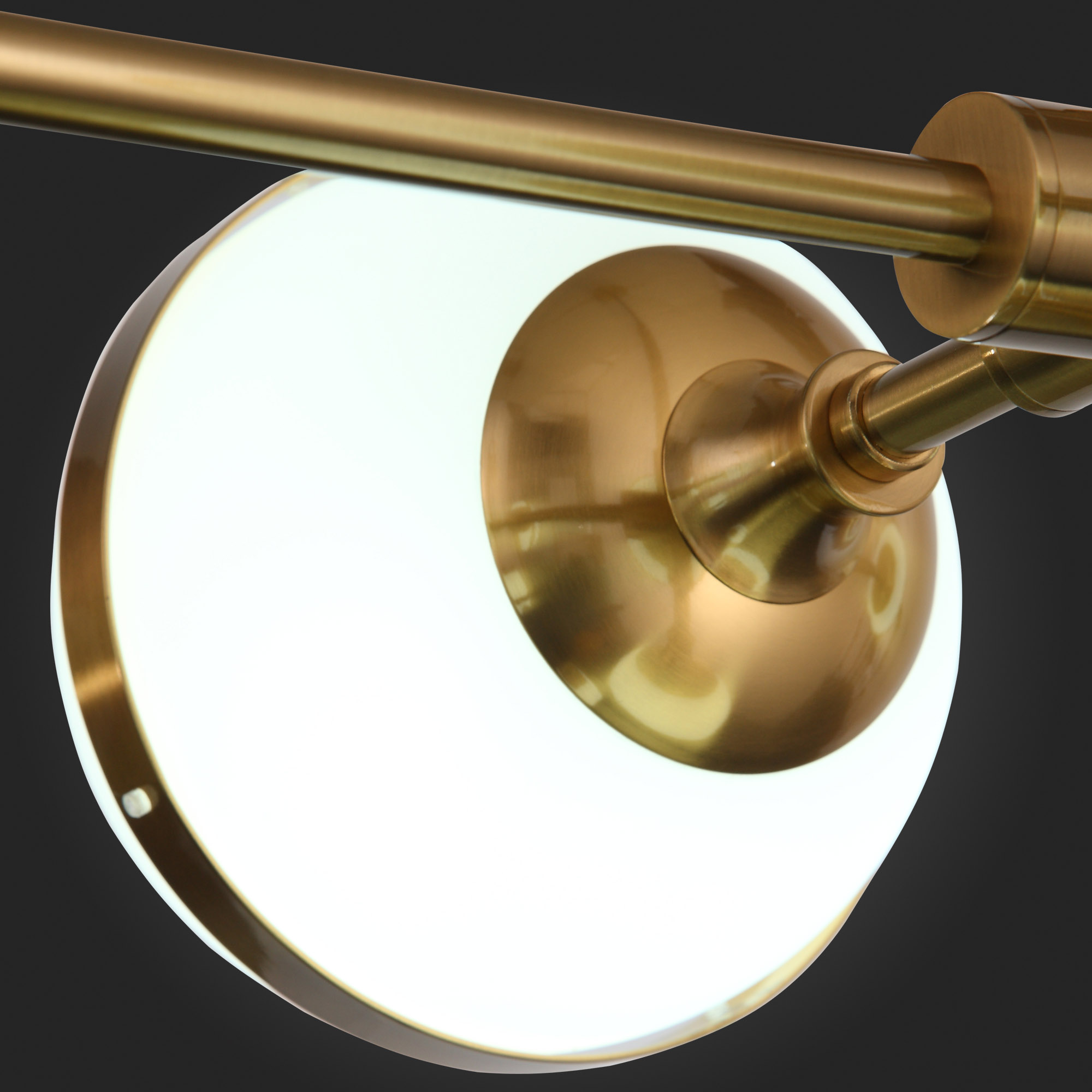 Картинка Подвесная люстра ST Luce Arbe SL1157.303.09