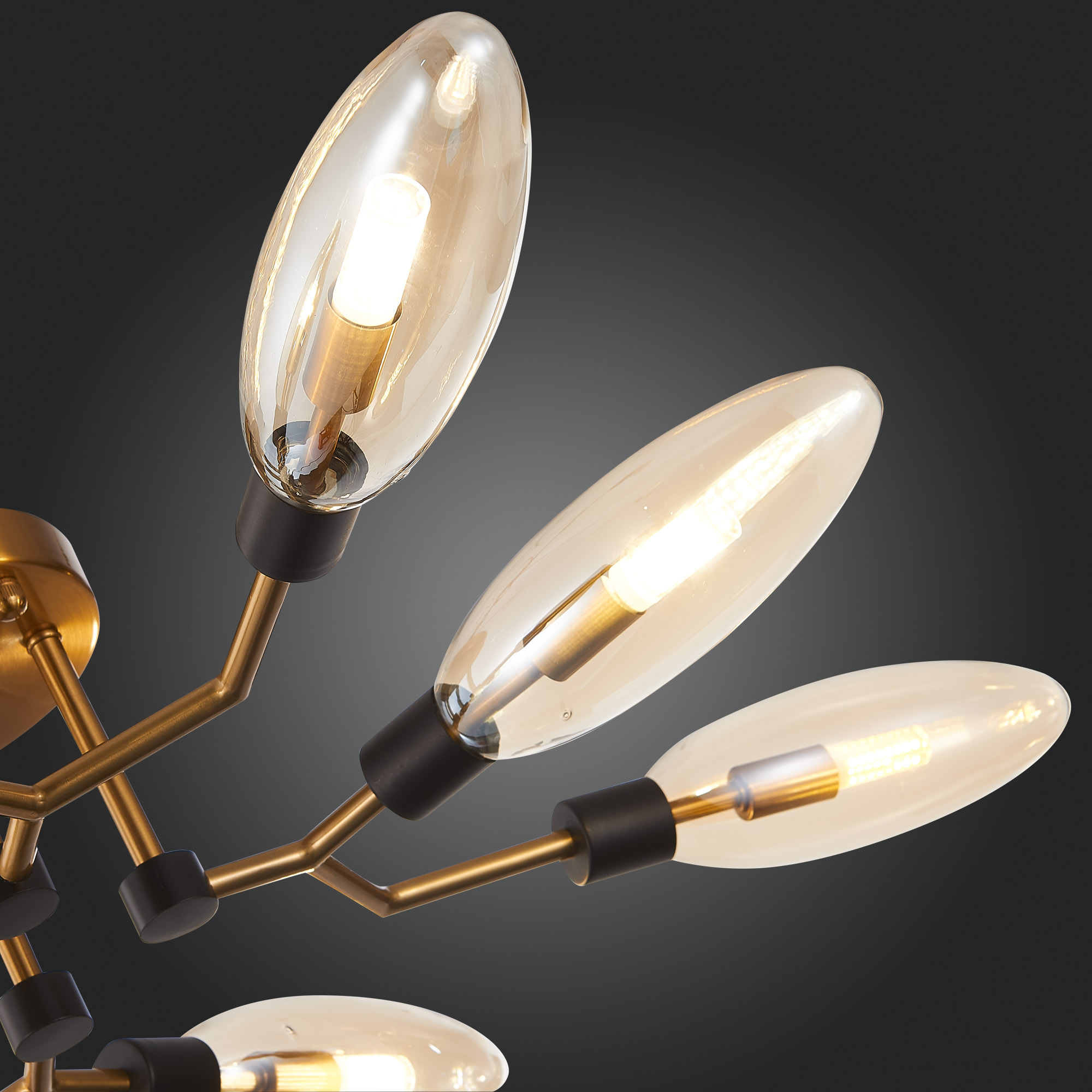 Картинка Потолочная люстра ST Luce Desima SL1174.302.08