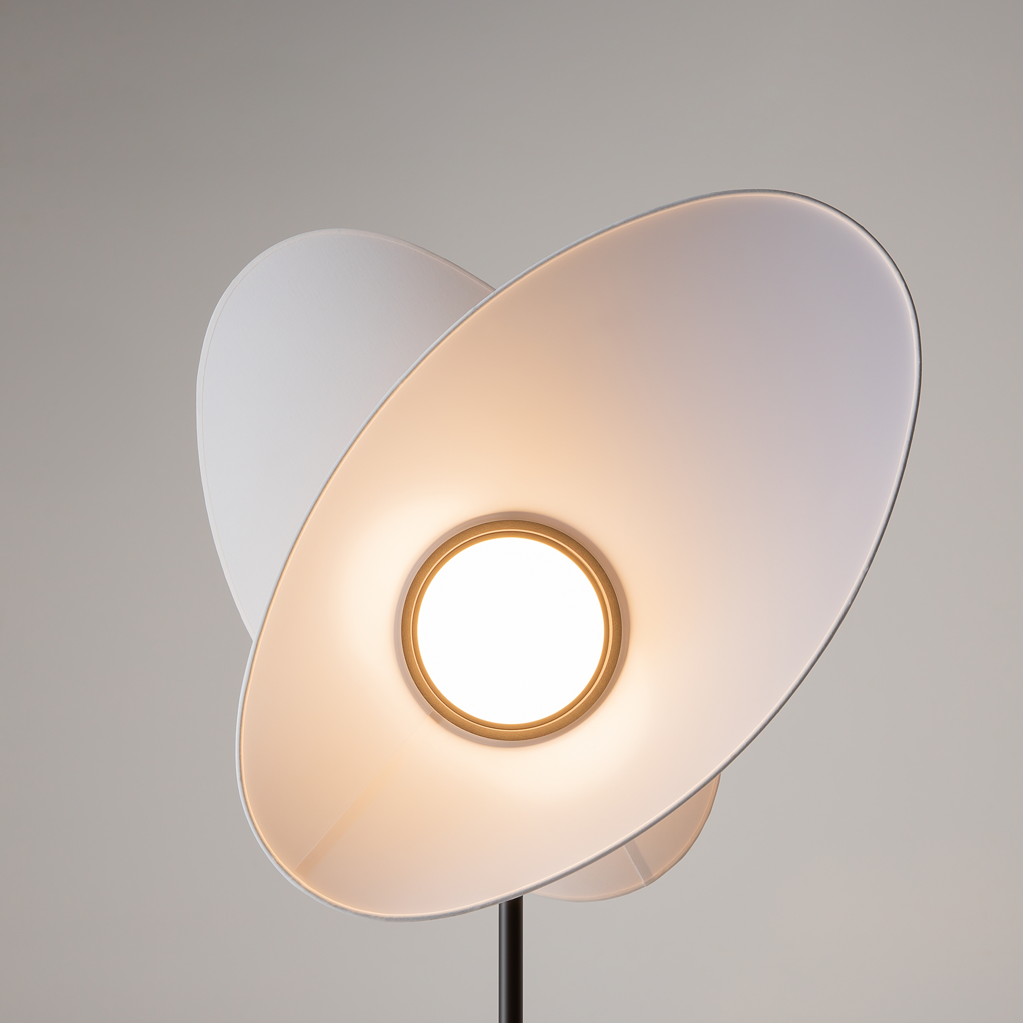 Картинка Напольный светильник (торшер) Maytoni MOD396FL-L10W3K