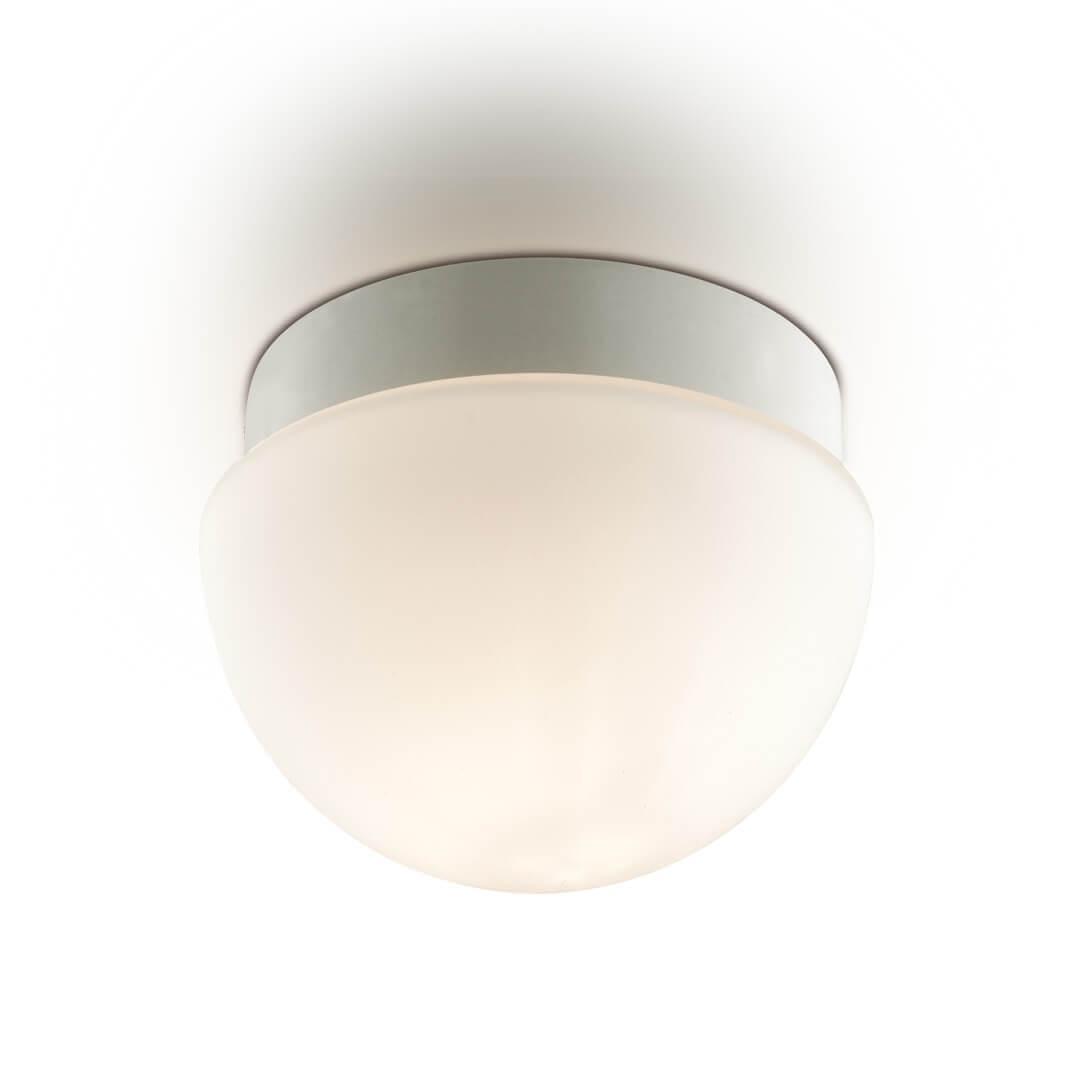Картинка Потолочный светильник Odeon Light Minkar 2443/1B