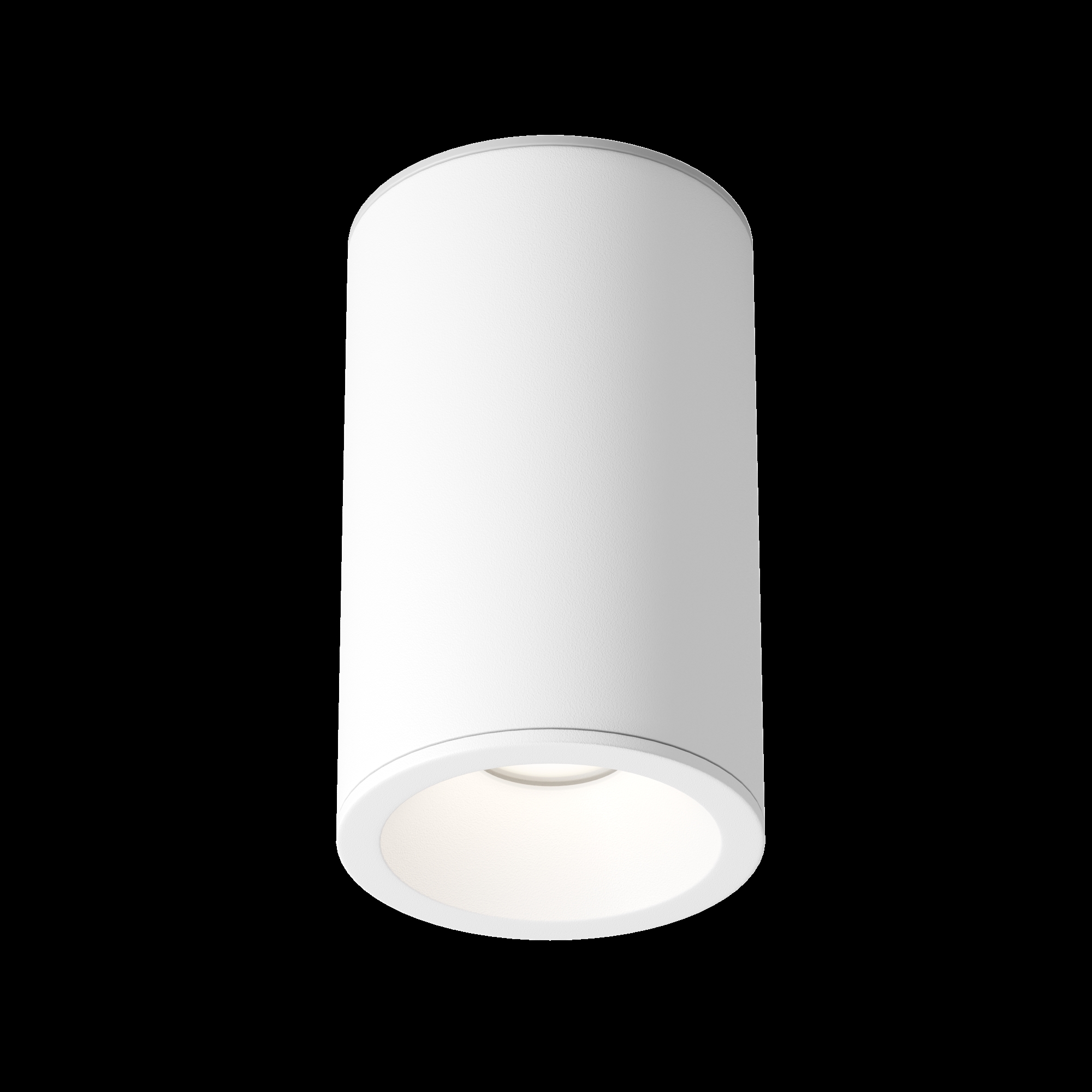 Картинка Потолочный светильник Technical C029CL-01-S-W