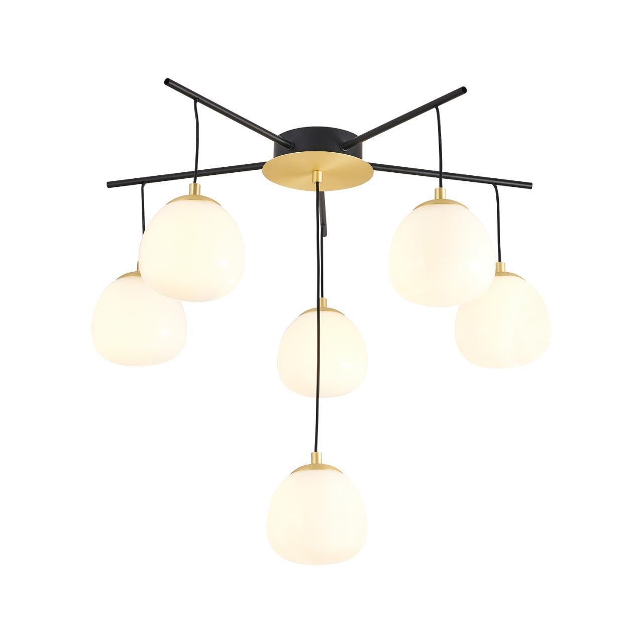 Картинка Потолочный светильник Paramount 3047-6P