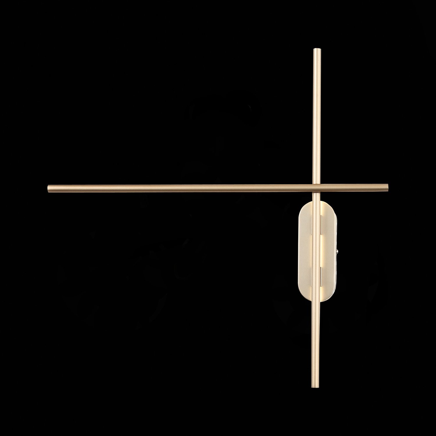 Картинка Настенный светодиодный светильник ST Luce Basoni SL394.201.02