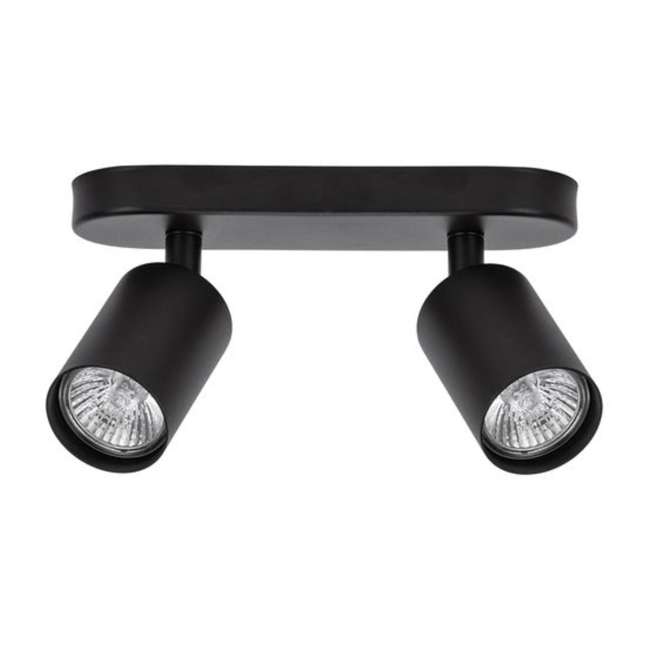 Картинка Потолочный светильник Arte Lamp AQUARIUS A3226PL-2BK