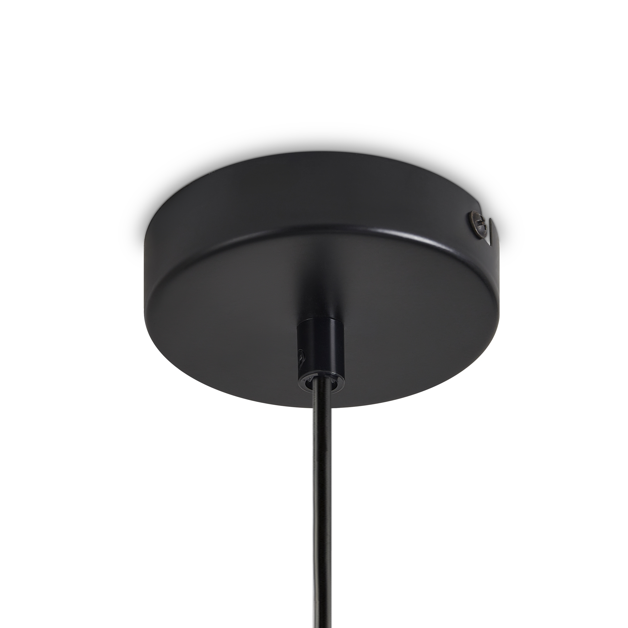 Картинка Подвесной светильник Freya FR5479PL-01W