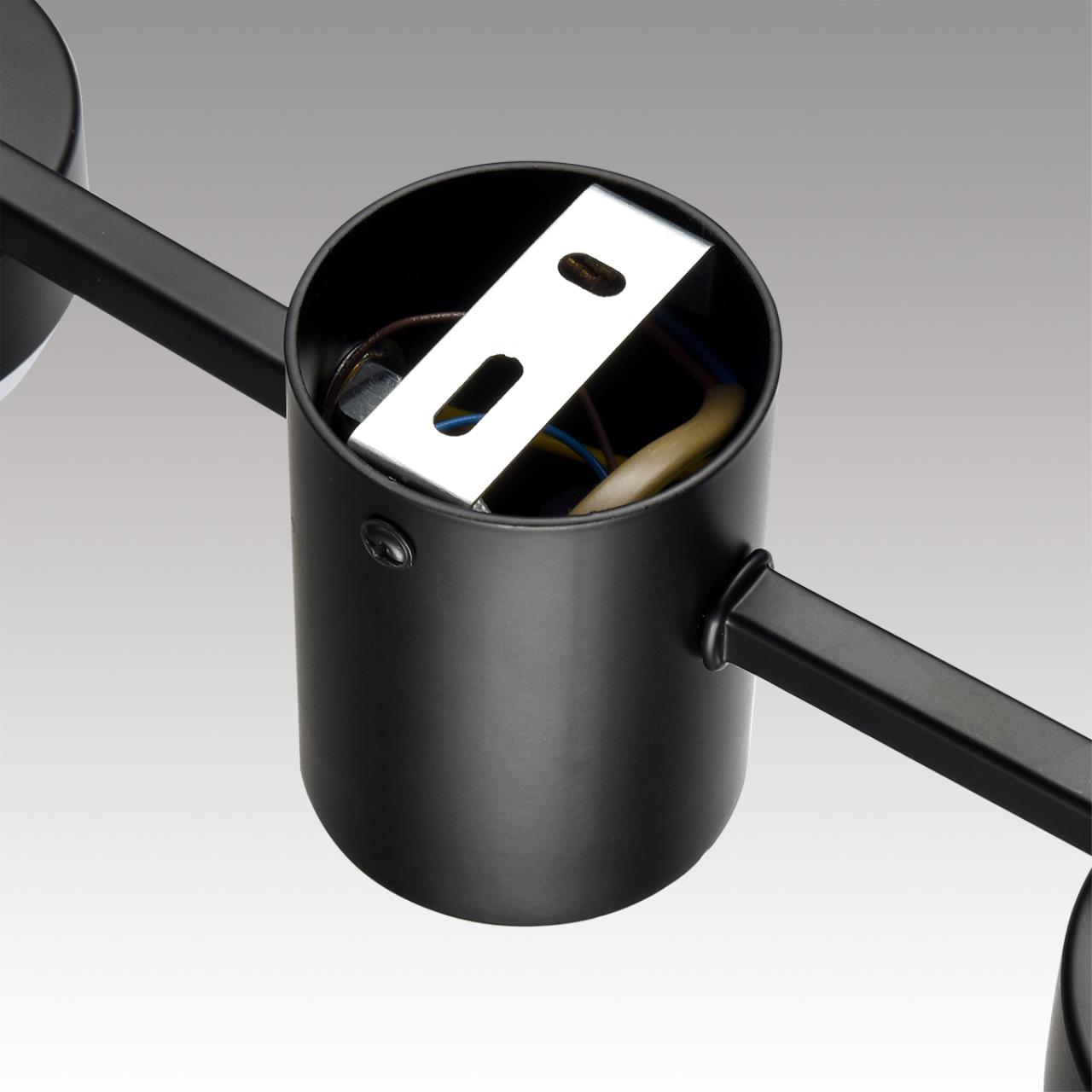 Картинка 8187/6C Lumion Люстра потолочная SANATA