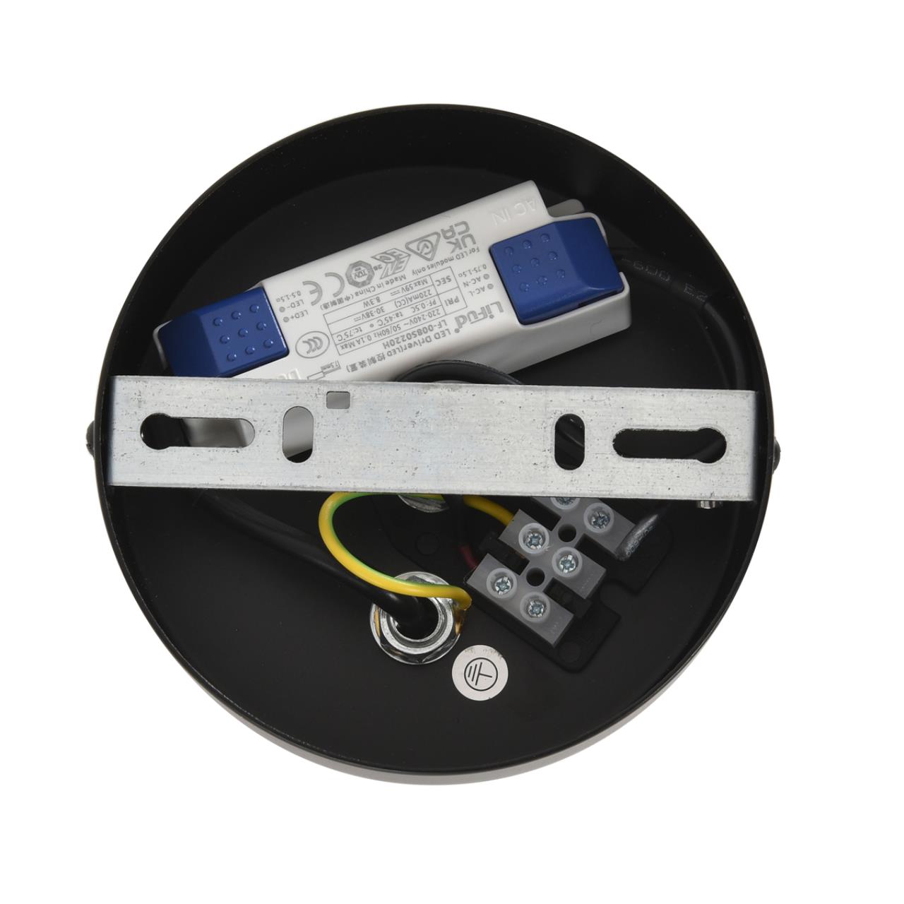 Картинка 8301/10L Lumion Люстра CAMOMILE