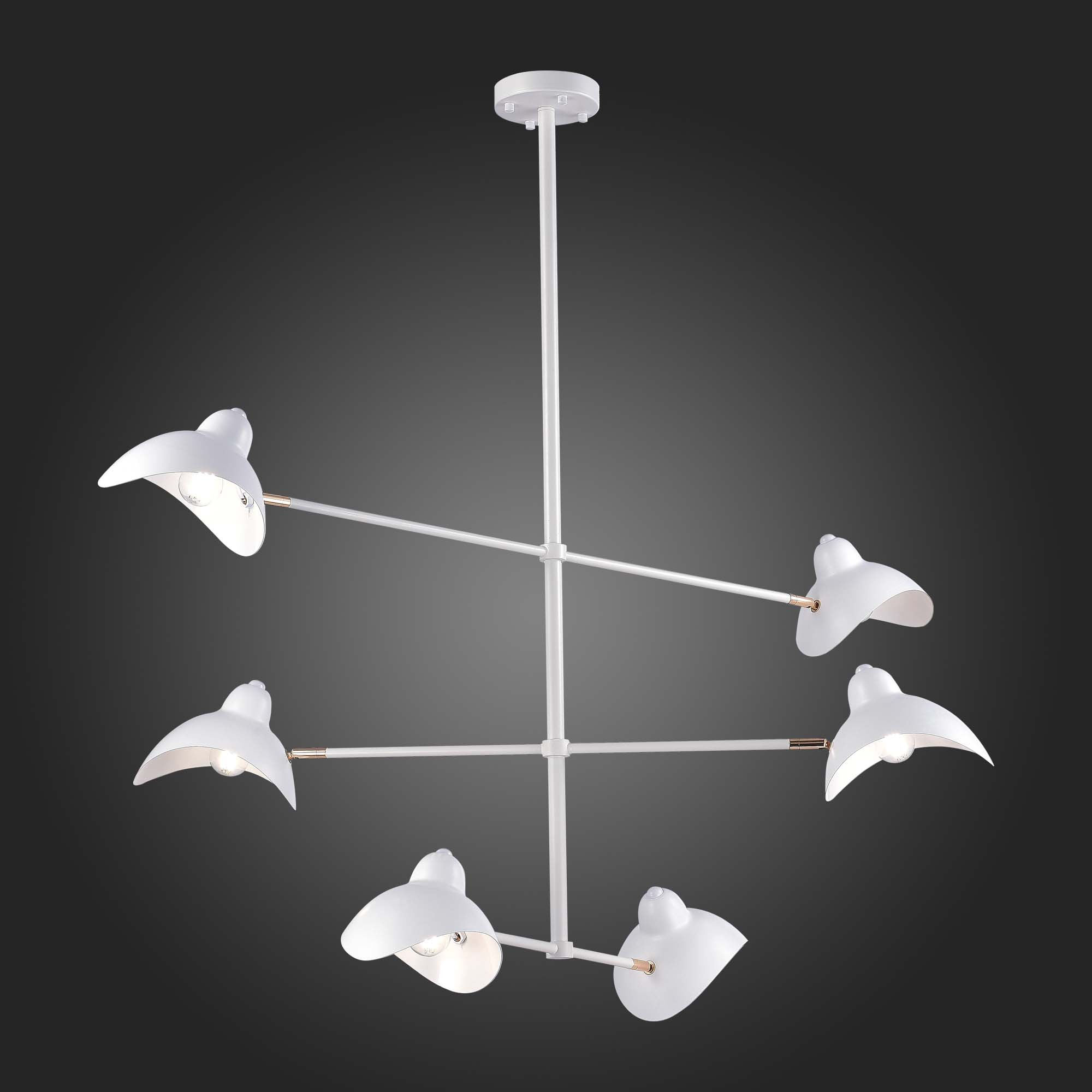 Картинка Подвесная люстра ST Luce Minne SL1801.503.06