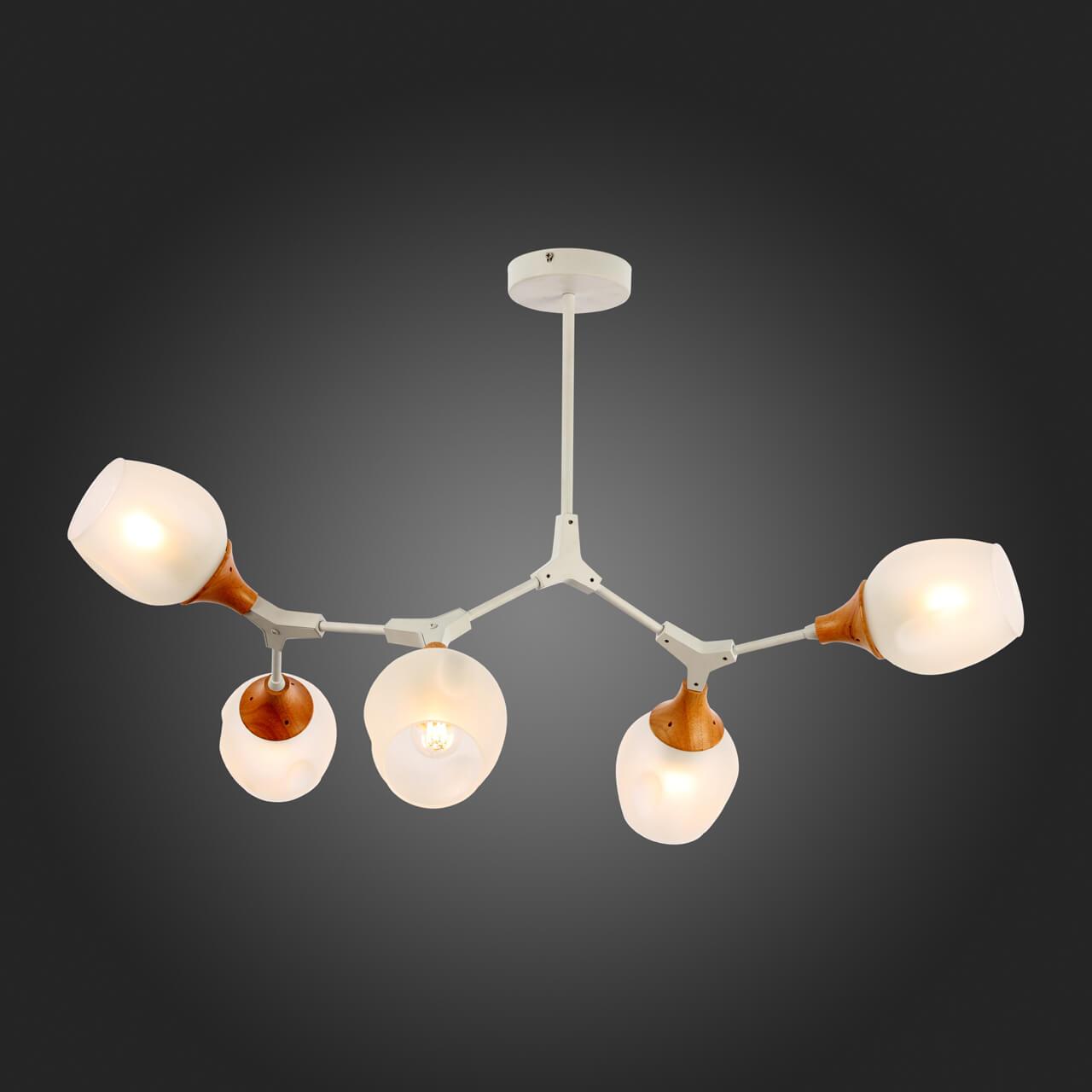 Картинка Потолочная люстра Evoluce Ciotolla SLE113502-05