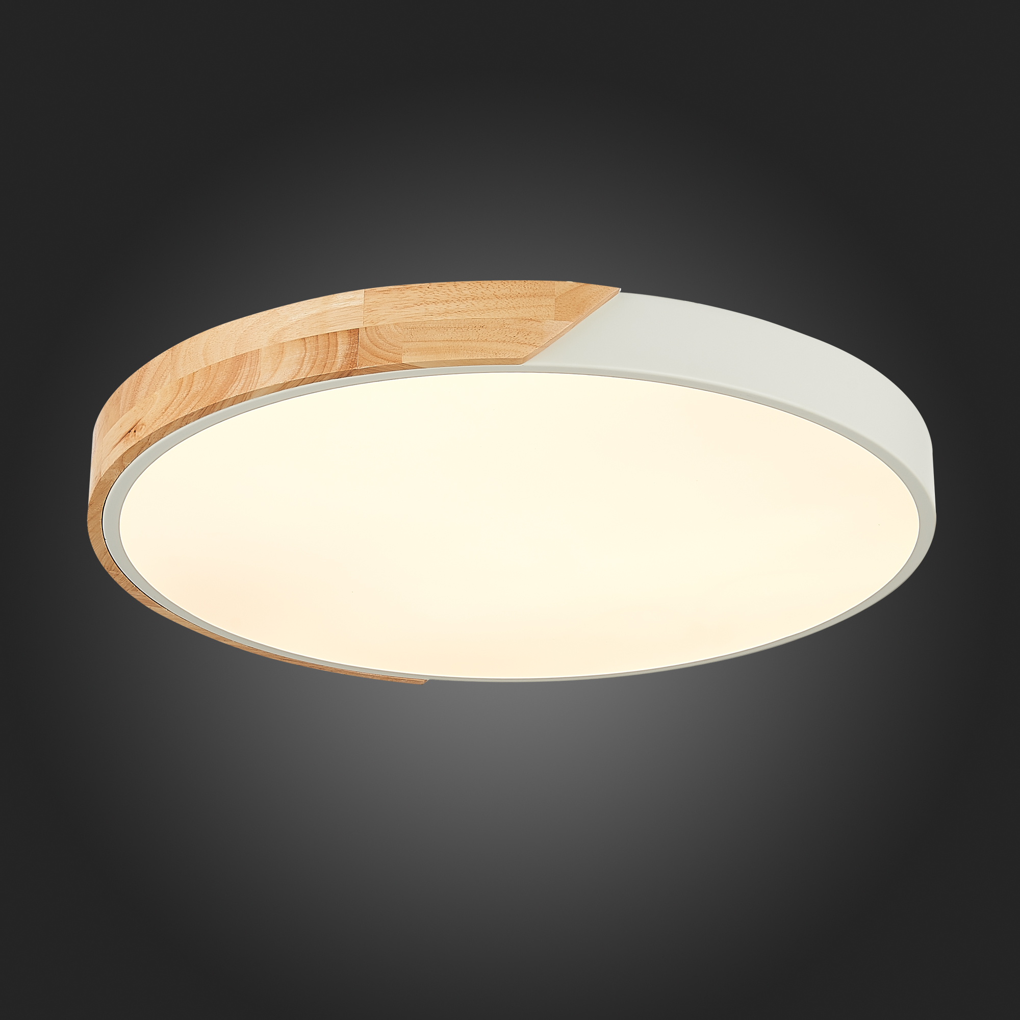 Картинка Потолочный светодиодный светильник Evoluce Festa SLE200952-01