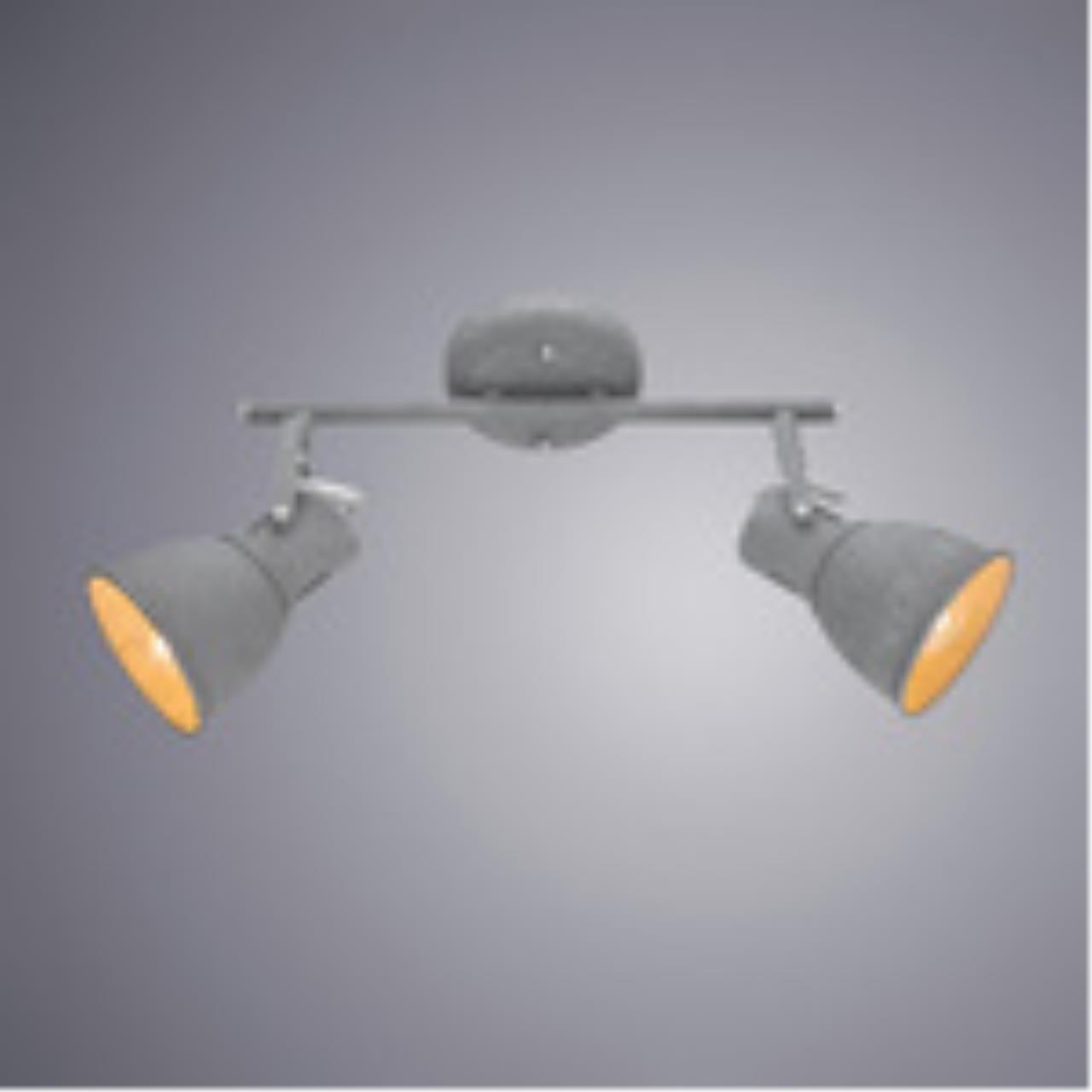Картинка Спот Arte Lamp A1677PL-2GY