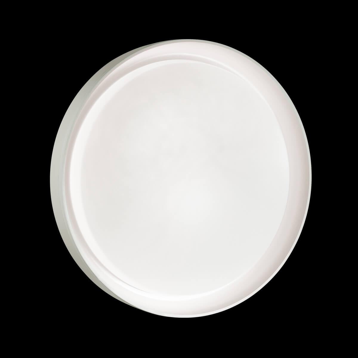 Картинка Настенно-потолочный светильник Sonex Tan Bionic 3030/DL