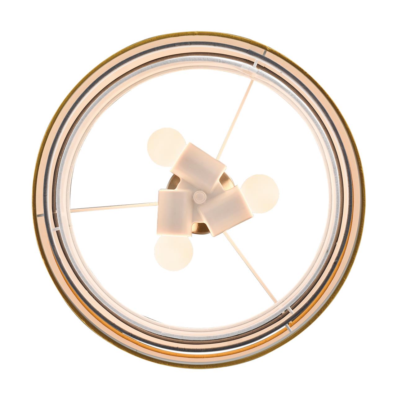 Картинка 8038/3 Lumion Подвесной светильник ILAIDA