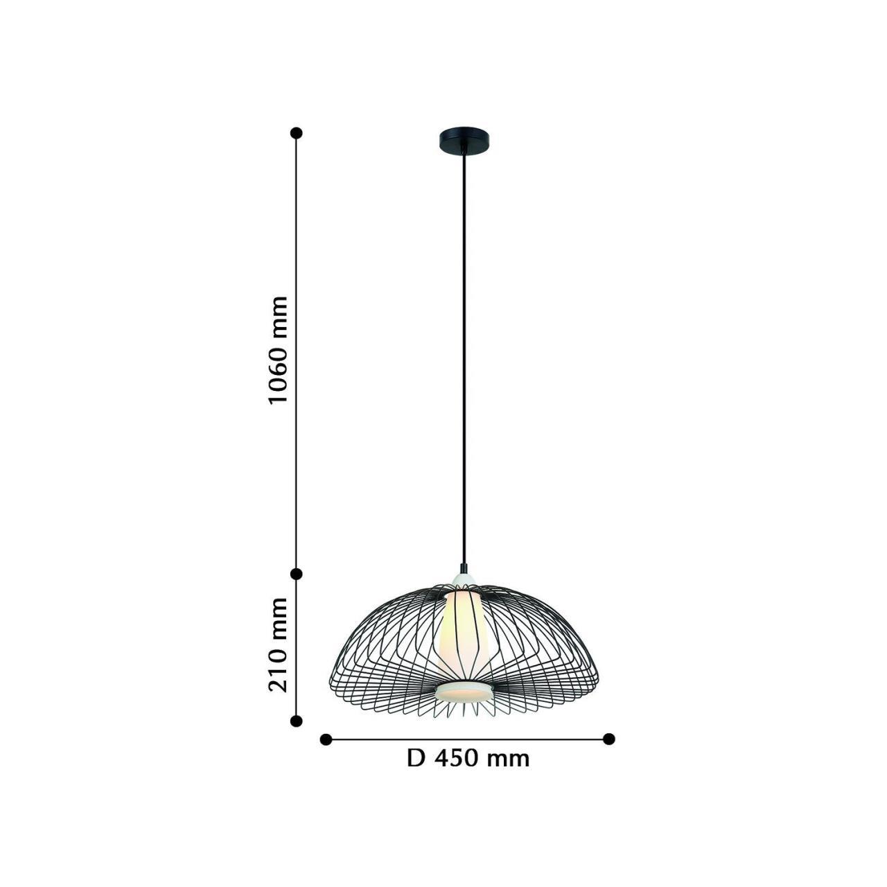 Картинка Подвесной светильник Favourite Dimidium 2371-1P