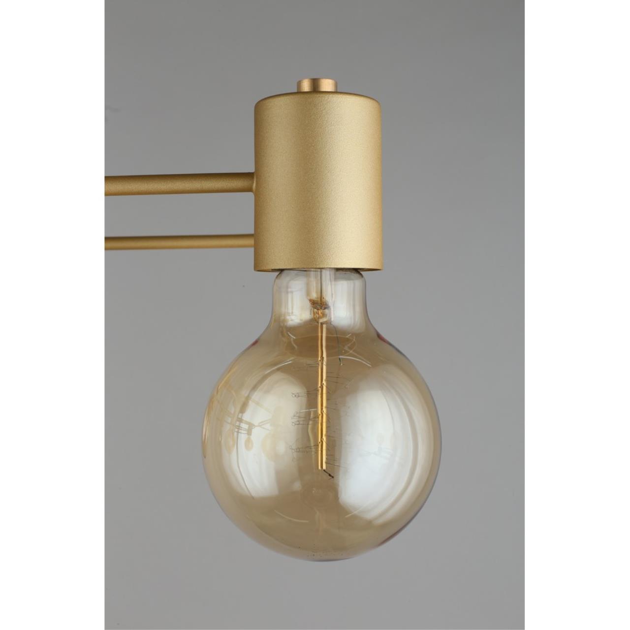 Картинка Потолочная люстра Aployt Elison APL.911.07.09