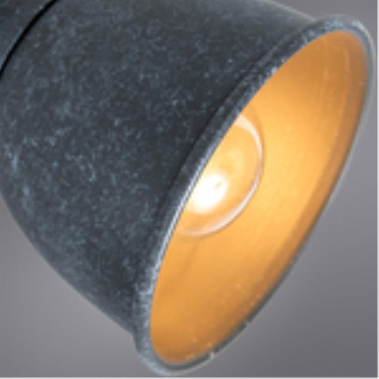 Картинка Спот Arte Lamp A1677PL-2GY