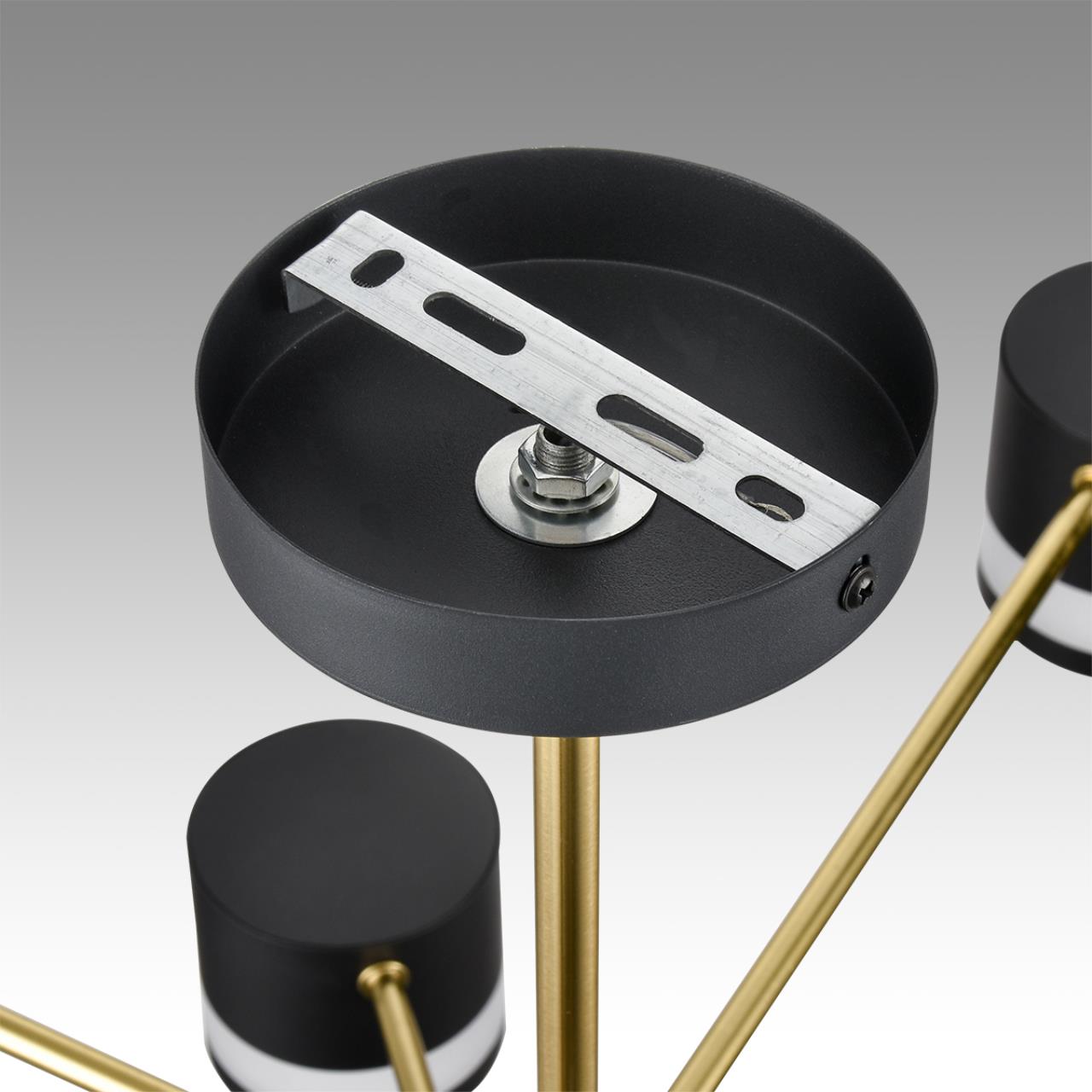 Картинка 8240/8C Lumion Люстра потолочная LANIKA