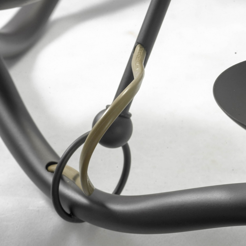 Картинка Подвесная люстра Lussole Lgo LSP-0212