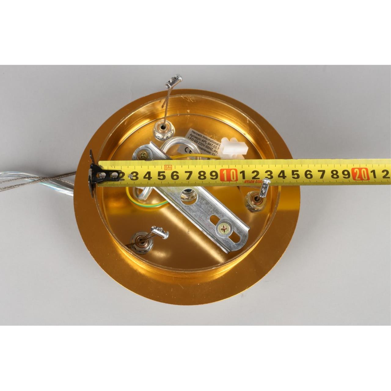 Картинка APL.847.03.10 Люстра Aployt Gertunia