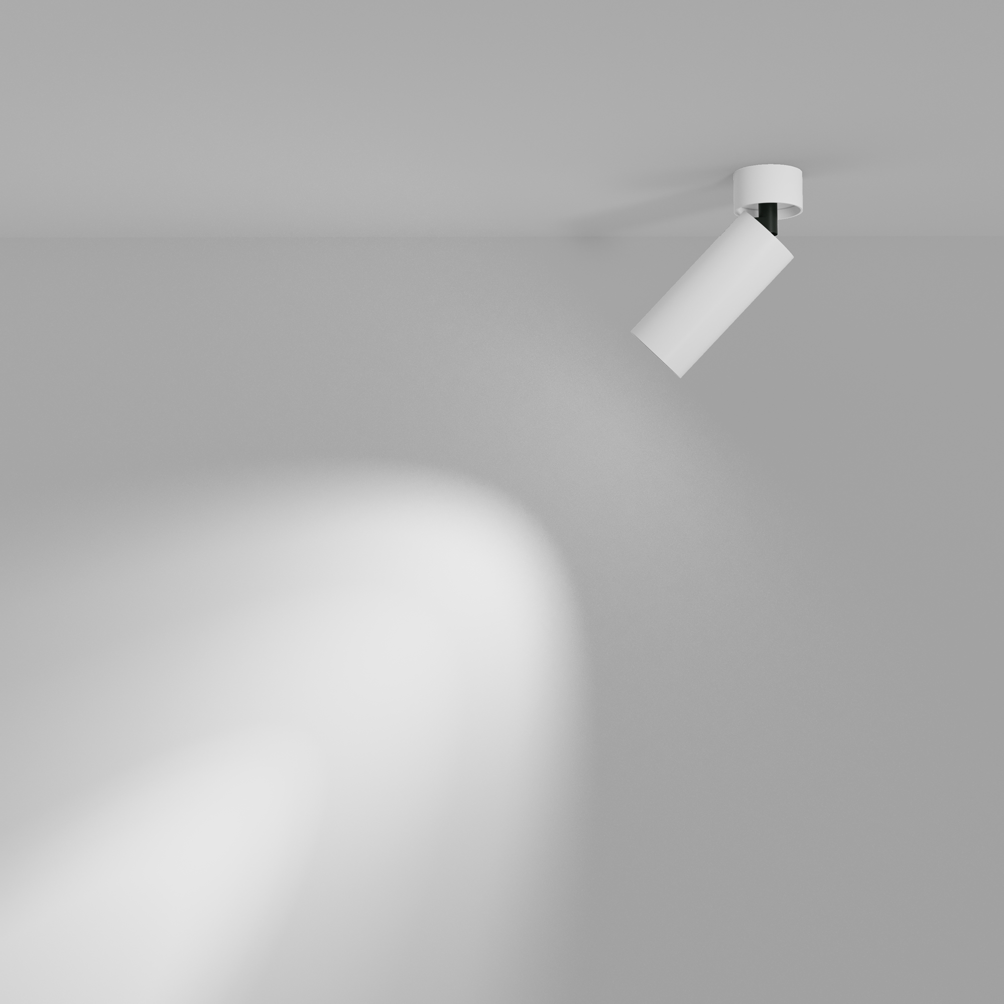 Картинка Потолочный светильник Technical C055CL-L12W3K-W-W