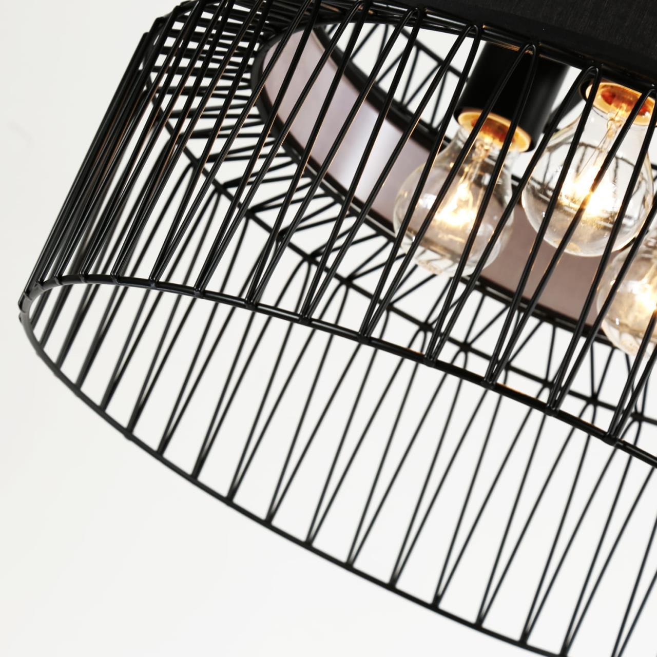 Картинка Подвесная люстра Favourite Korb 2363-2P