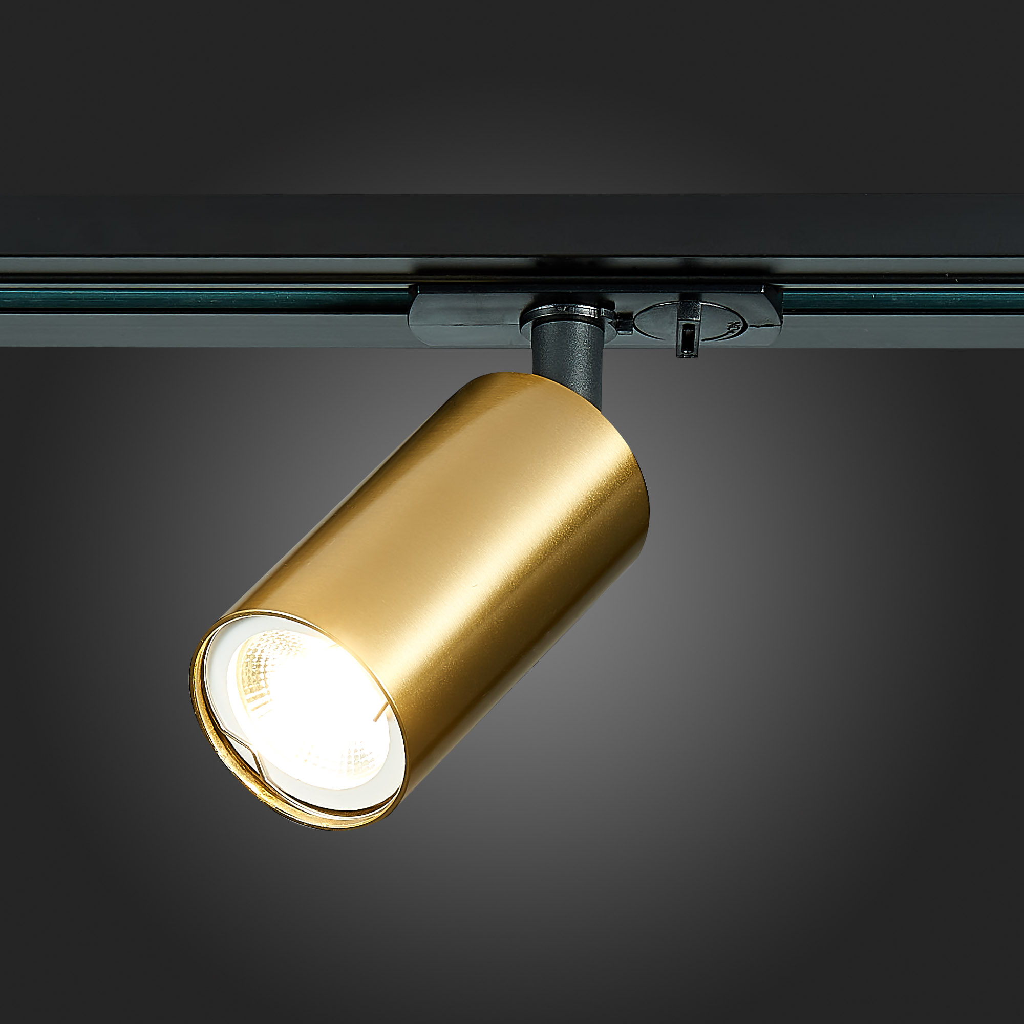 Картинка Трековый светильник ST Luce ST300.206.01