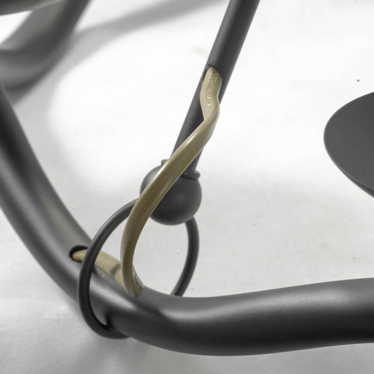 Картинка Подвесная люстра Lussole Lgo LSP-0212