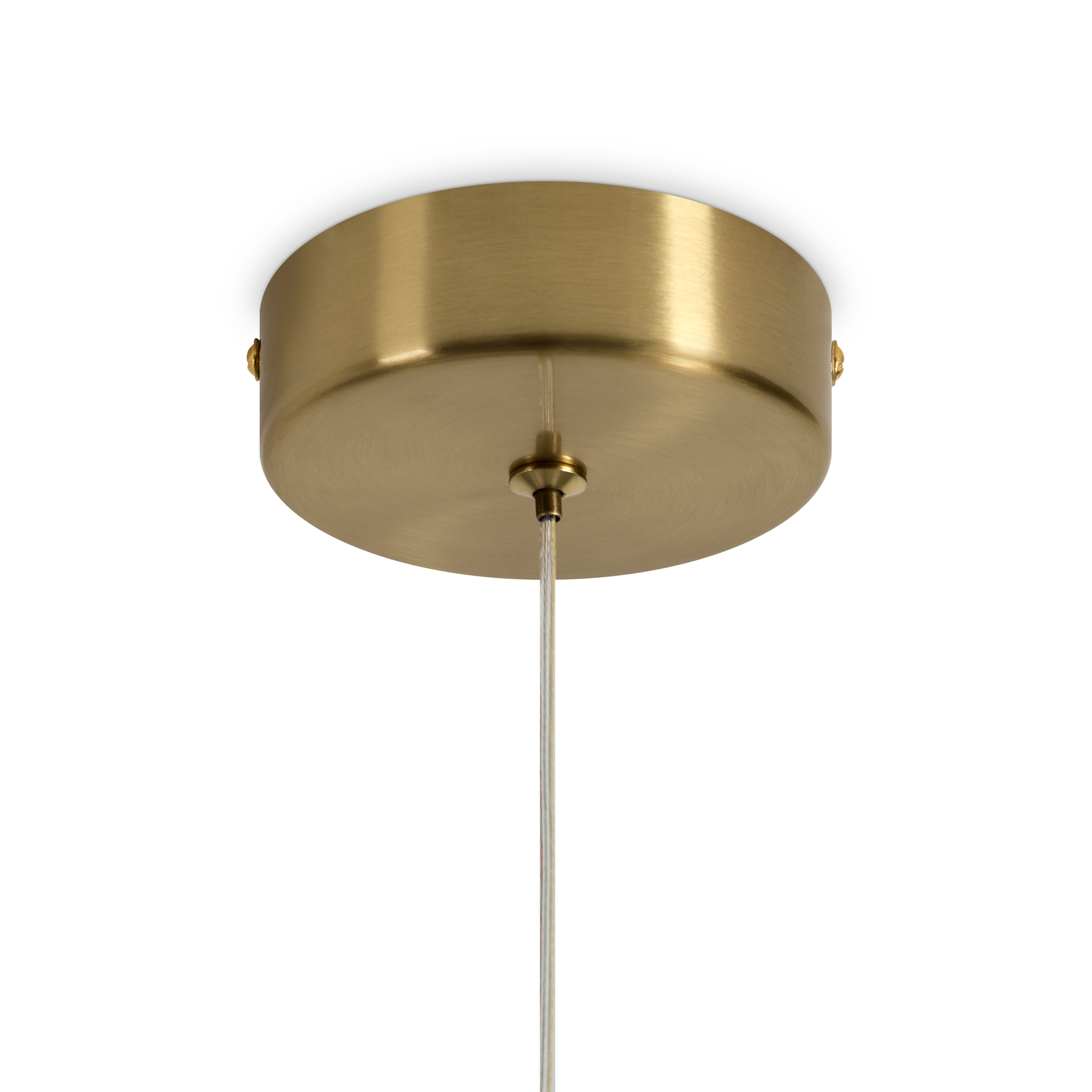 Картинка Подвесной светильник Freya FR5601PL-01TR Mote