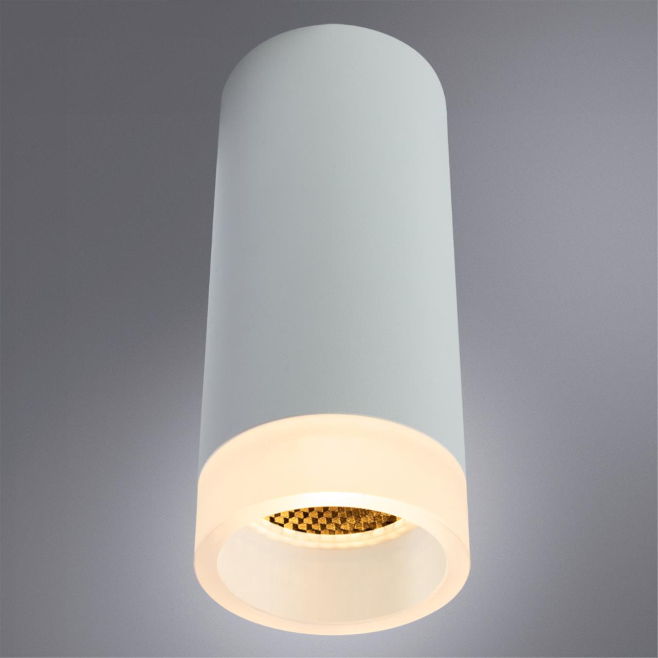 Картинка Потолочный светильник Arte Lamp Ogma A5556PL-1WH