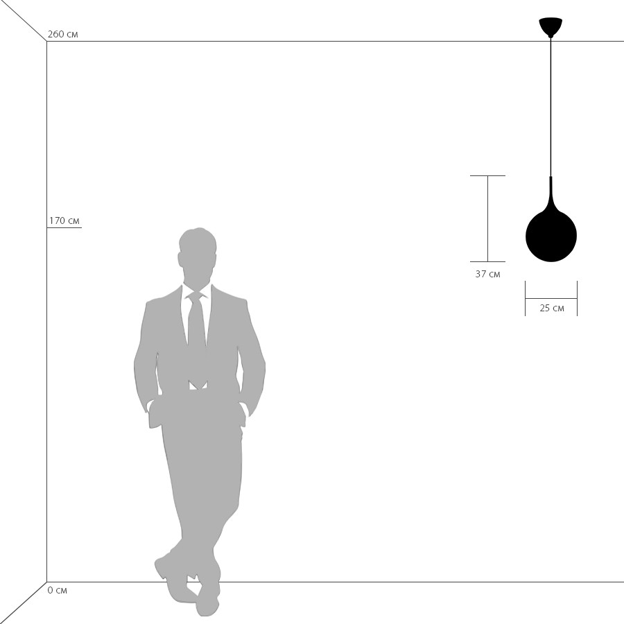 Картинка Подвесной светильник Lightstar Globo 813031