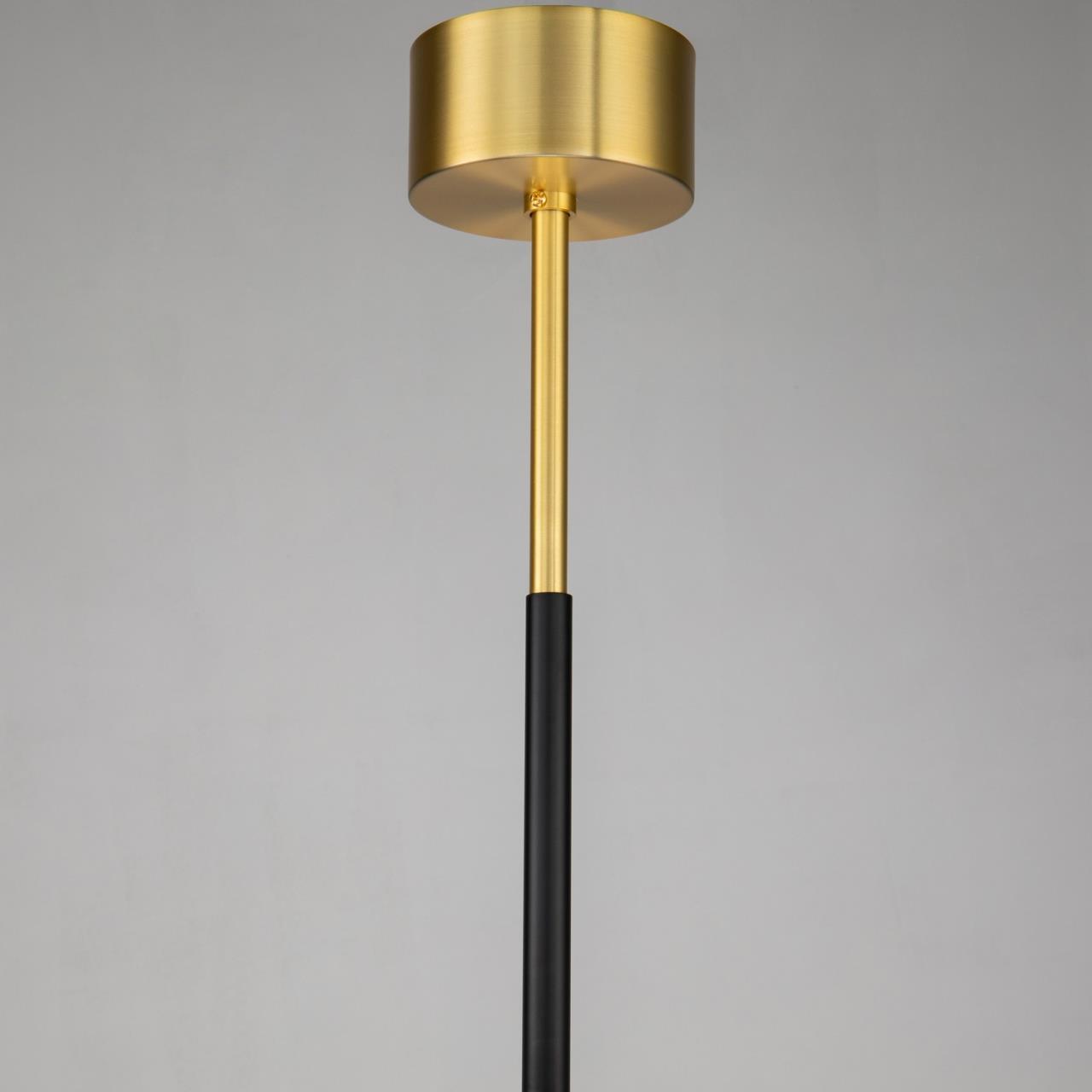 Картинка Подвесная люстра Favourite Maximo 2623-12P