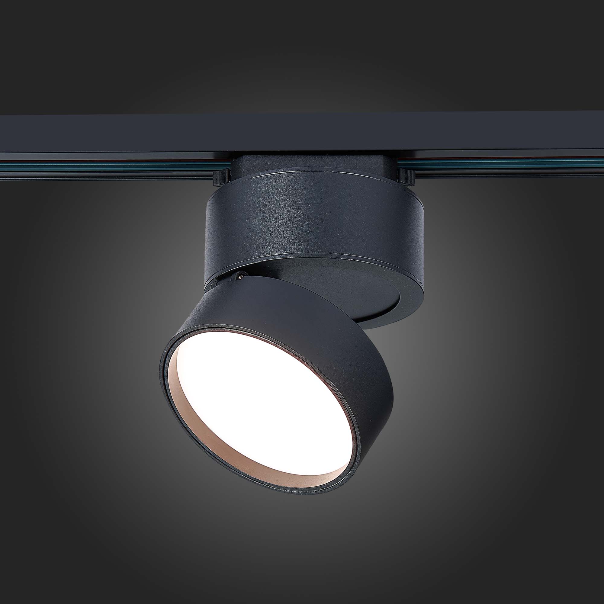 Картинка Трековый светодиодный светильник ST Luce ST651.436.14