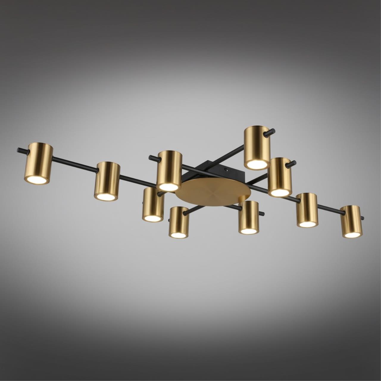 Картинка Потолочная люстра Aployt Elwisia APL.633.07.10