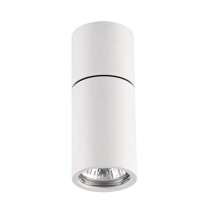 Картинка Потолочный светильник Odeon Light Hightech Duetta 3582/1C
