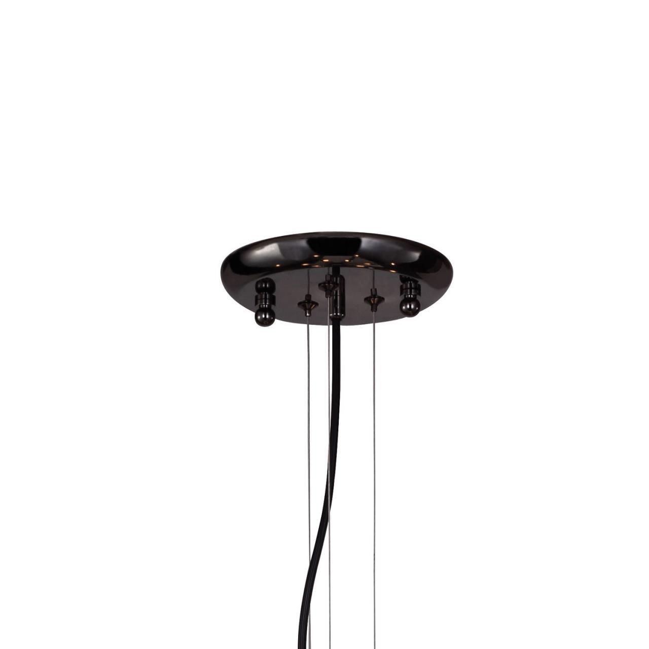 Картинка Подвесная люстра Favourite Drolling 1676-12P