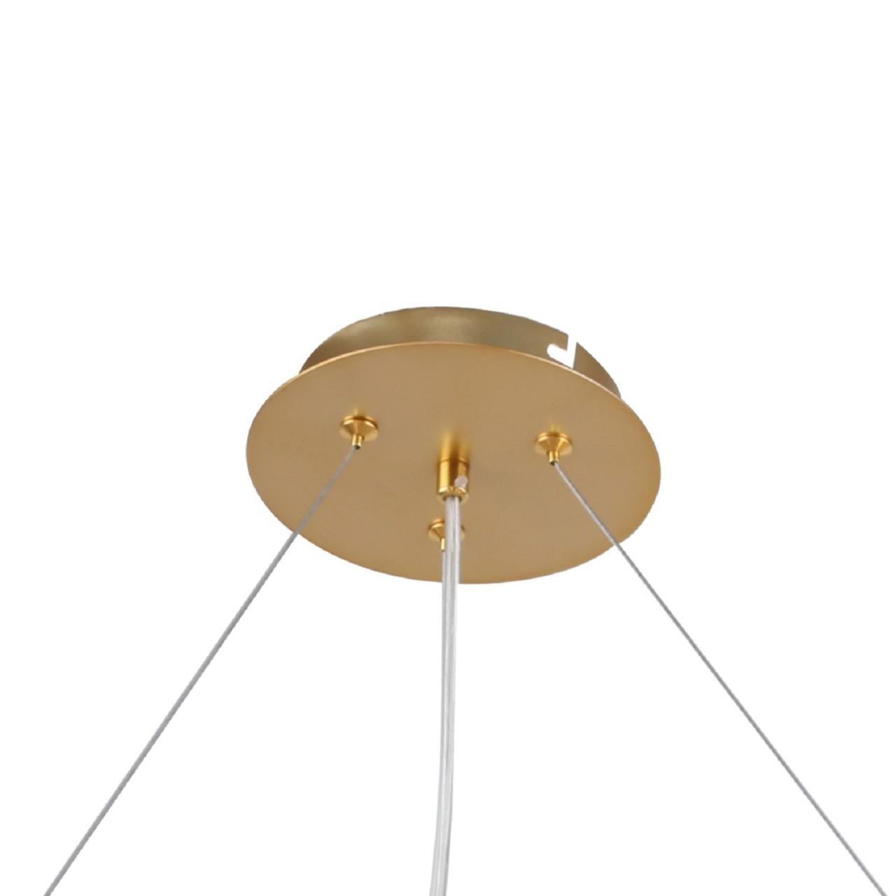 Картинка Подвесная люстра F-Promo Multy Bliss 2772-12P