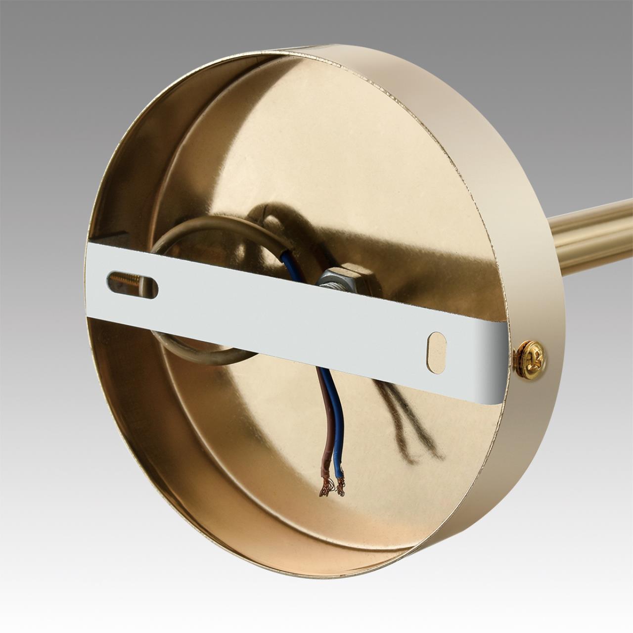 Картинка 6586/10 Lumion Люстра подвесная KASSIA